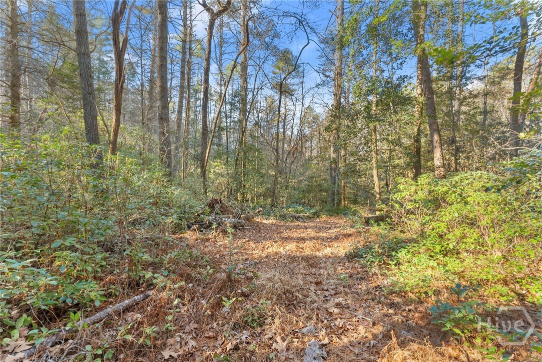 Shoal Creek Tract Habersham County