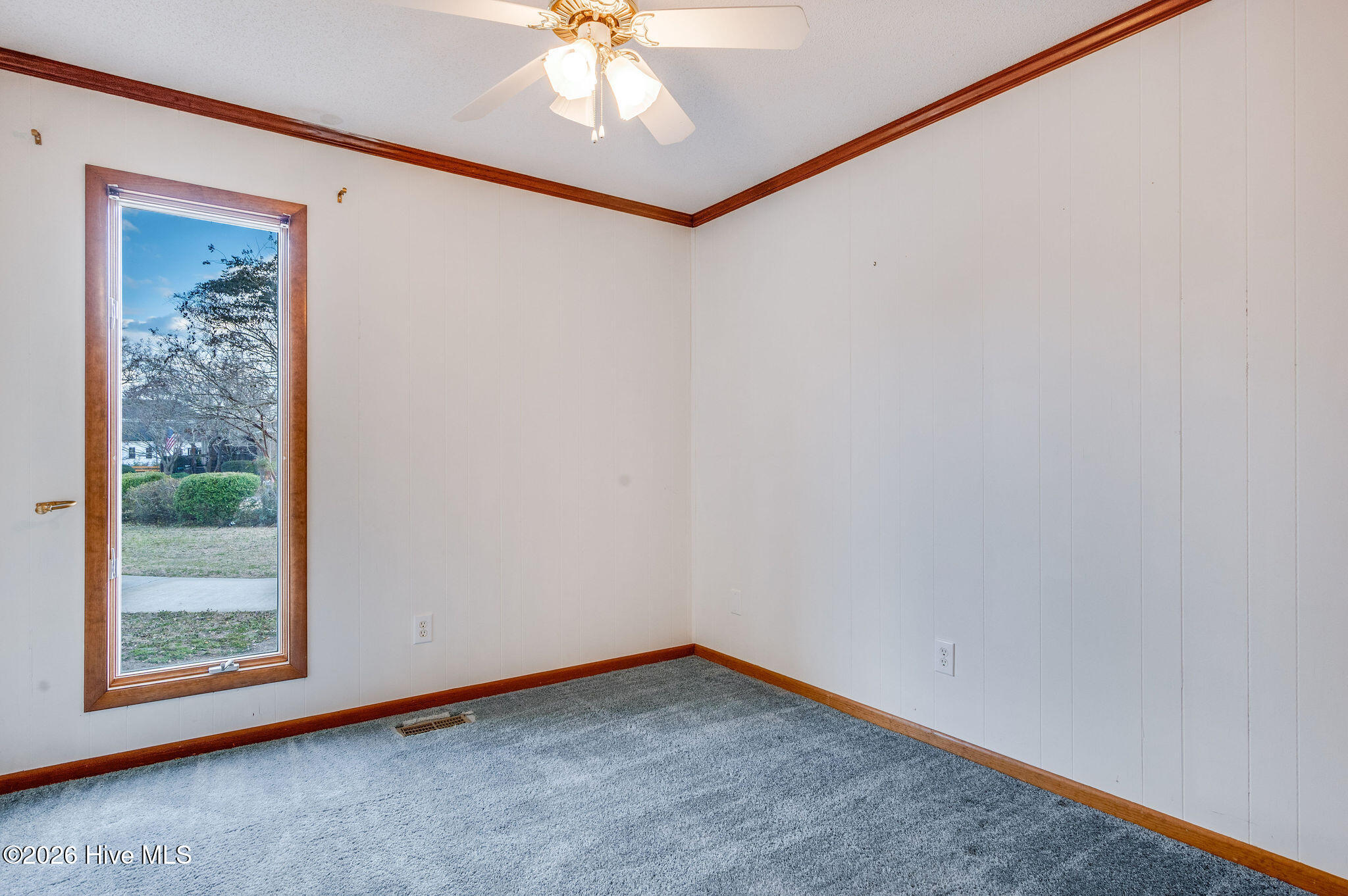 100556602 | Photo 46