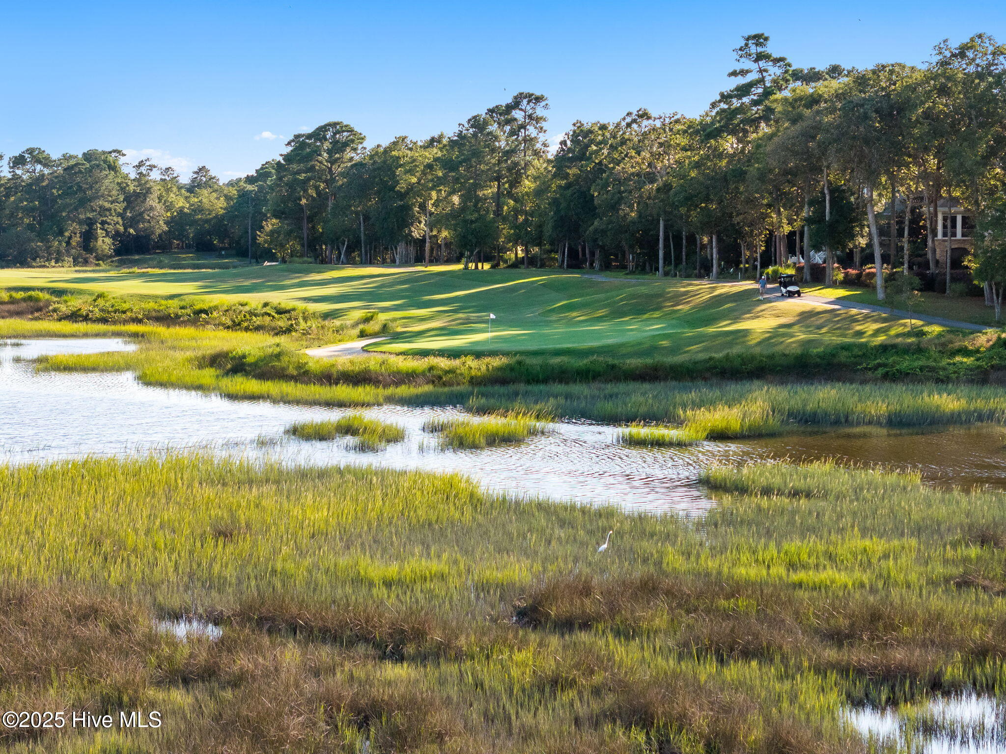 100530249 | Photo 21