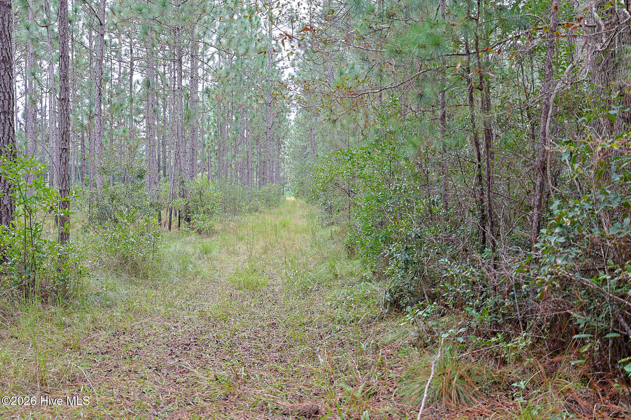 10.57 Ac Egypt Road NW, Ash, NC, 28420