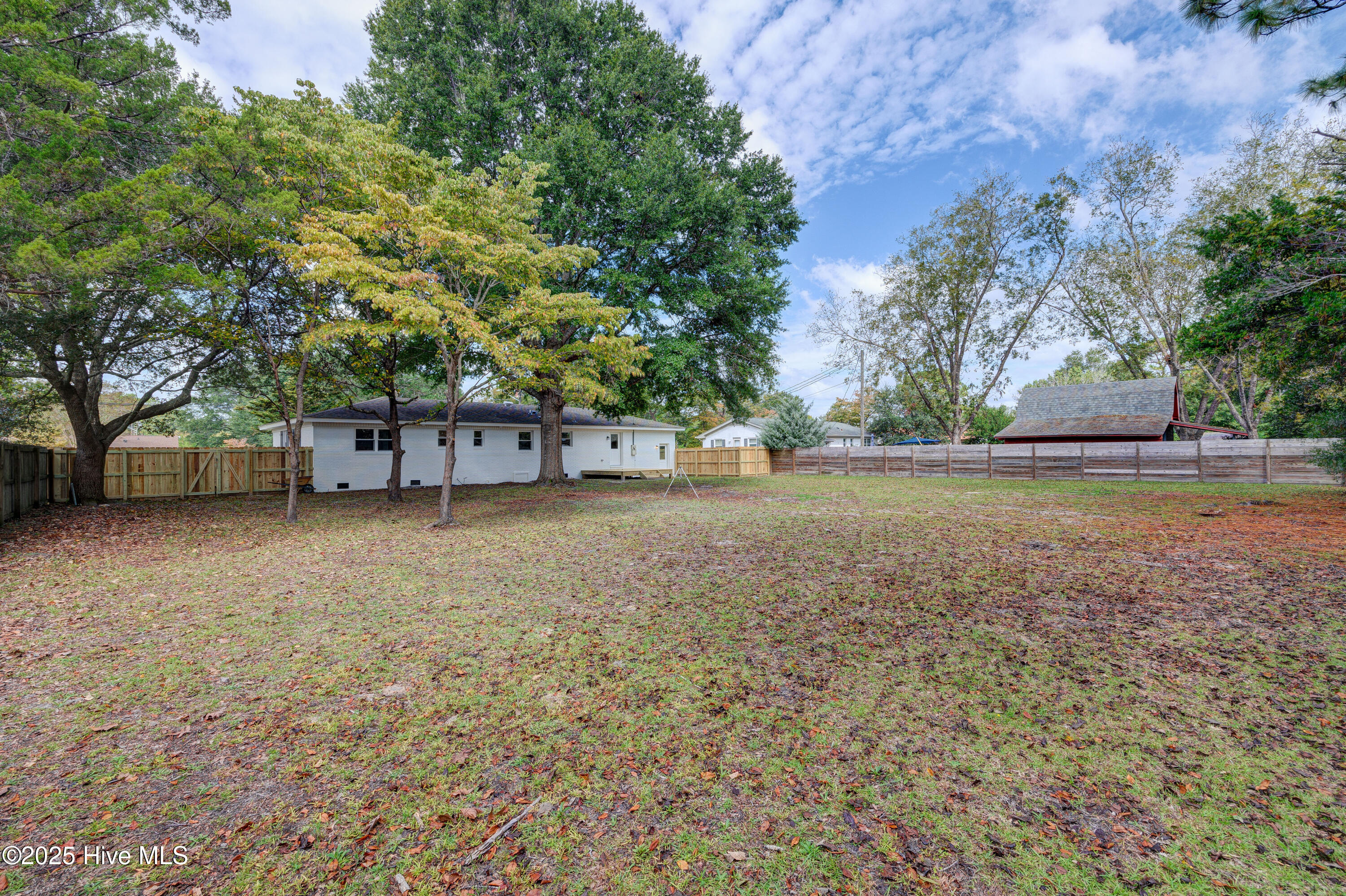 100534169 | Photo 42