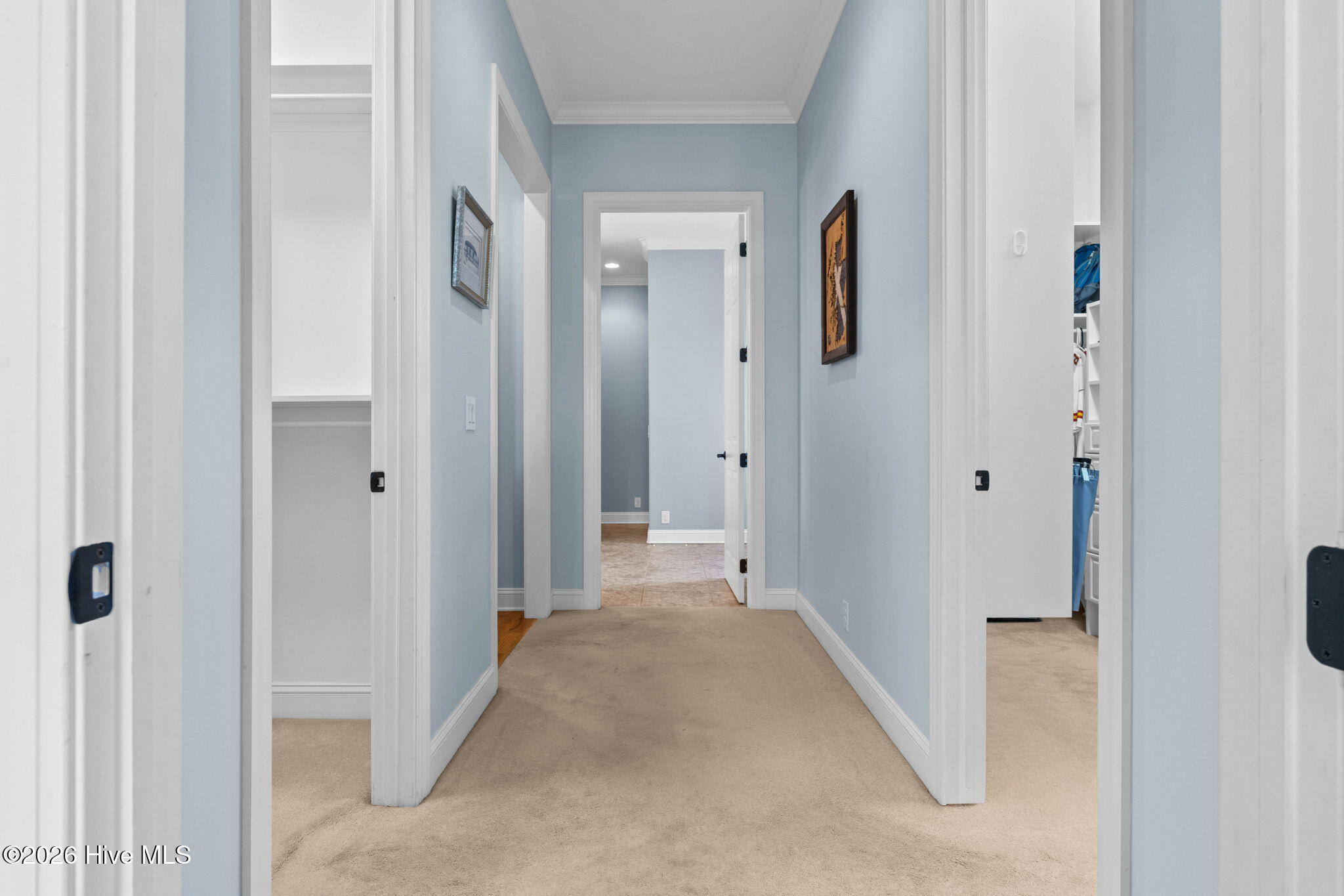 100553770 | Photo 30