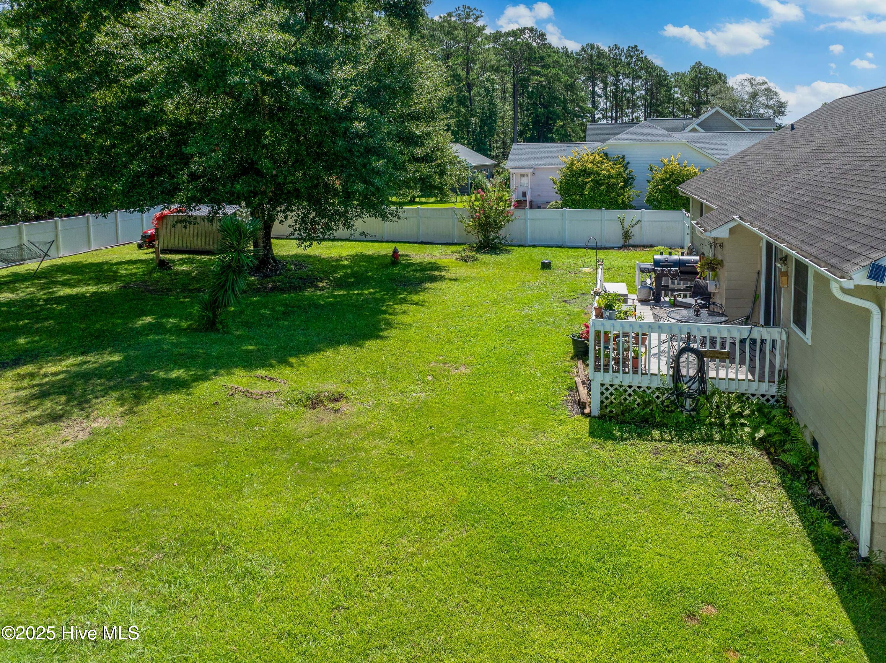 100523707 | Photo 41