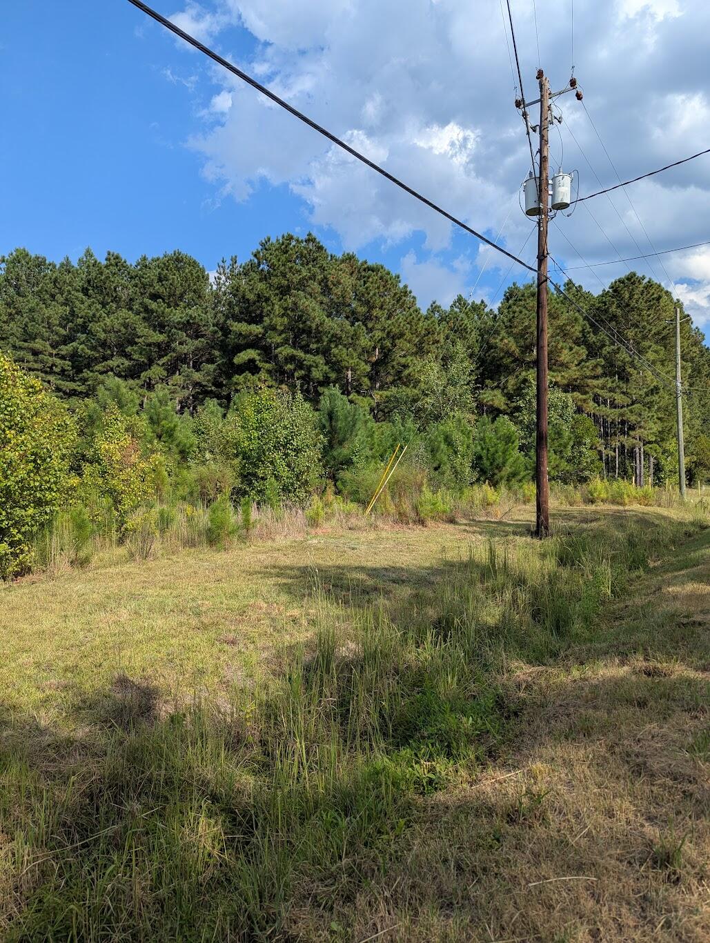 1661 Nixon Road - View 2 Street