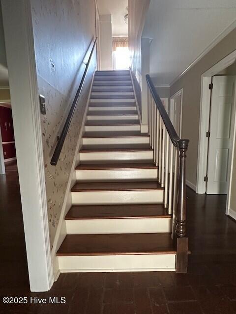 100505864 | Photo 14