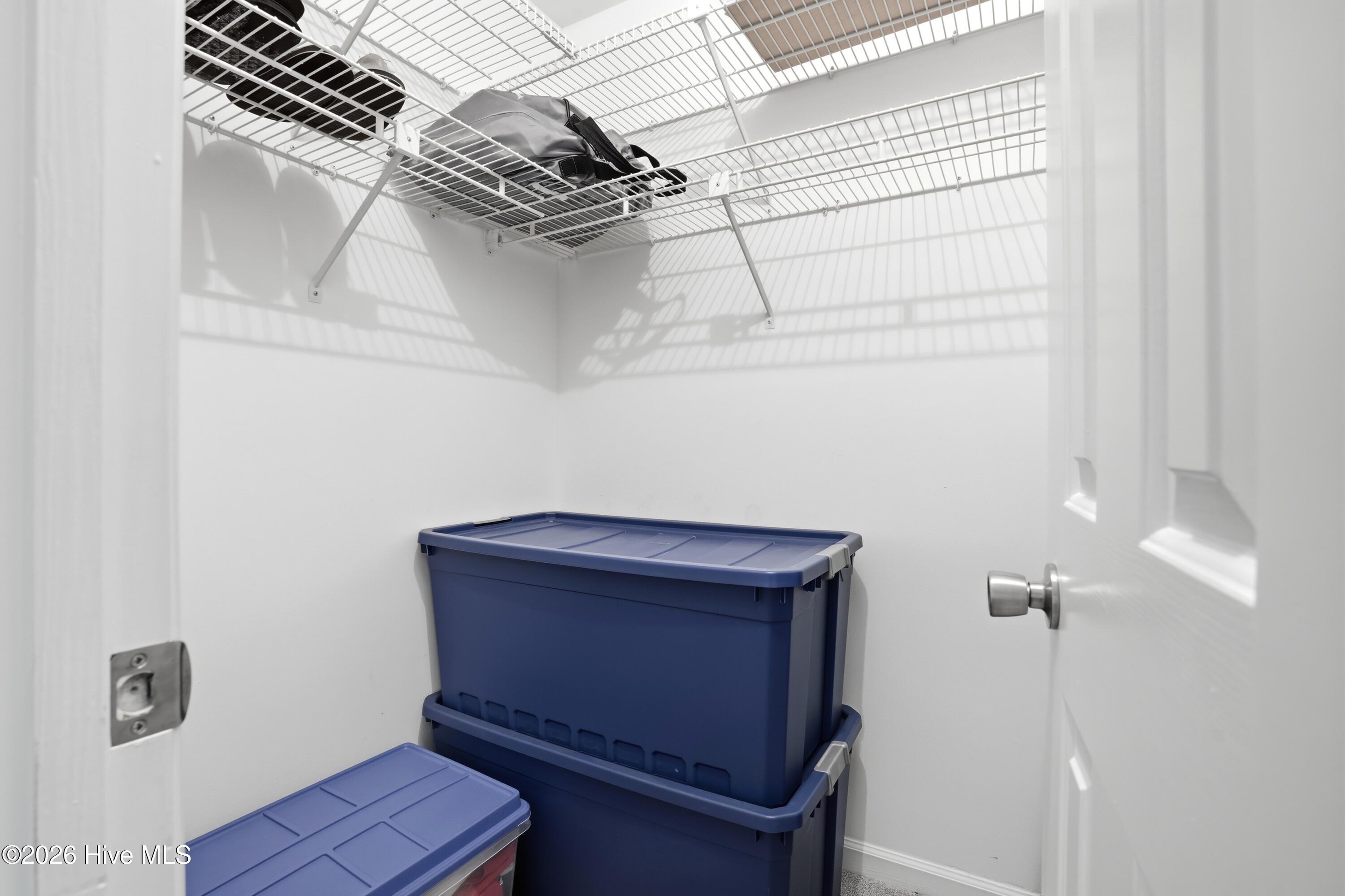 100556629 | Photo 39