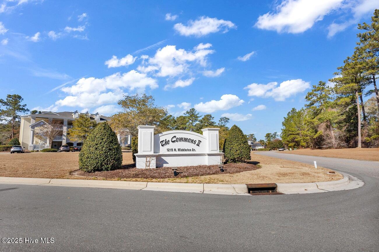 100552564 | Photo 21