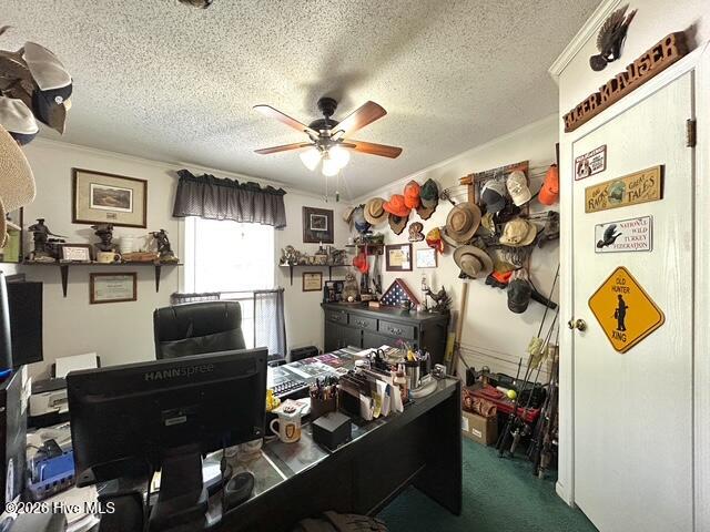 100566420 | Photo 58