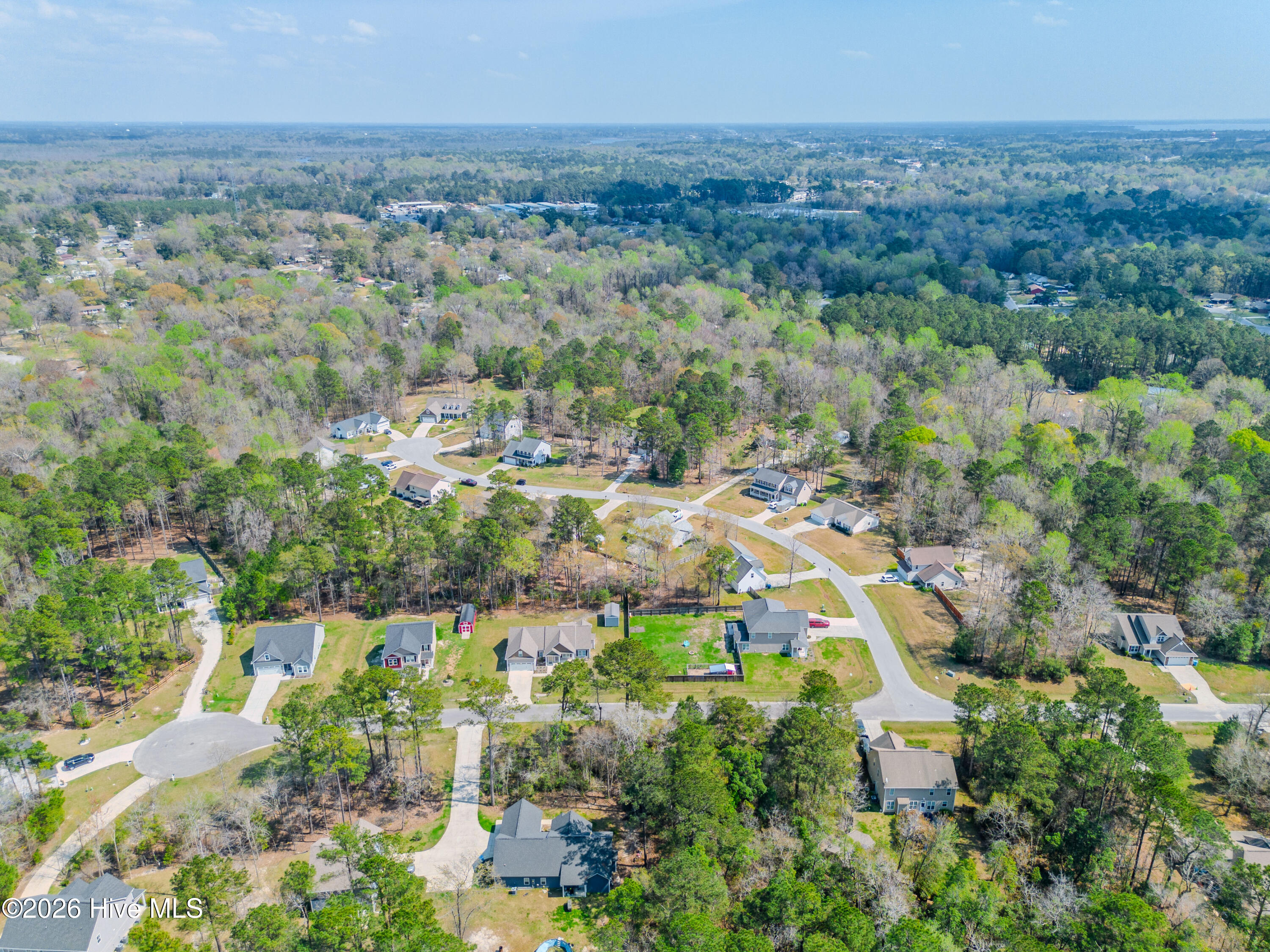 100563083 | Photo 59