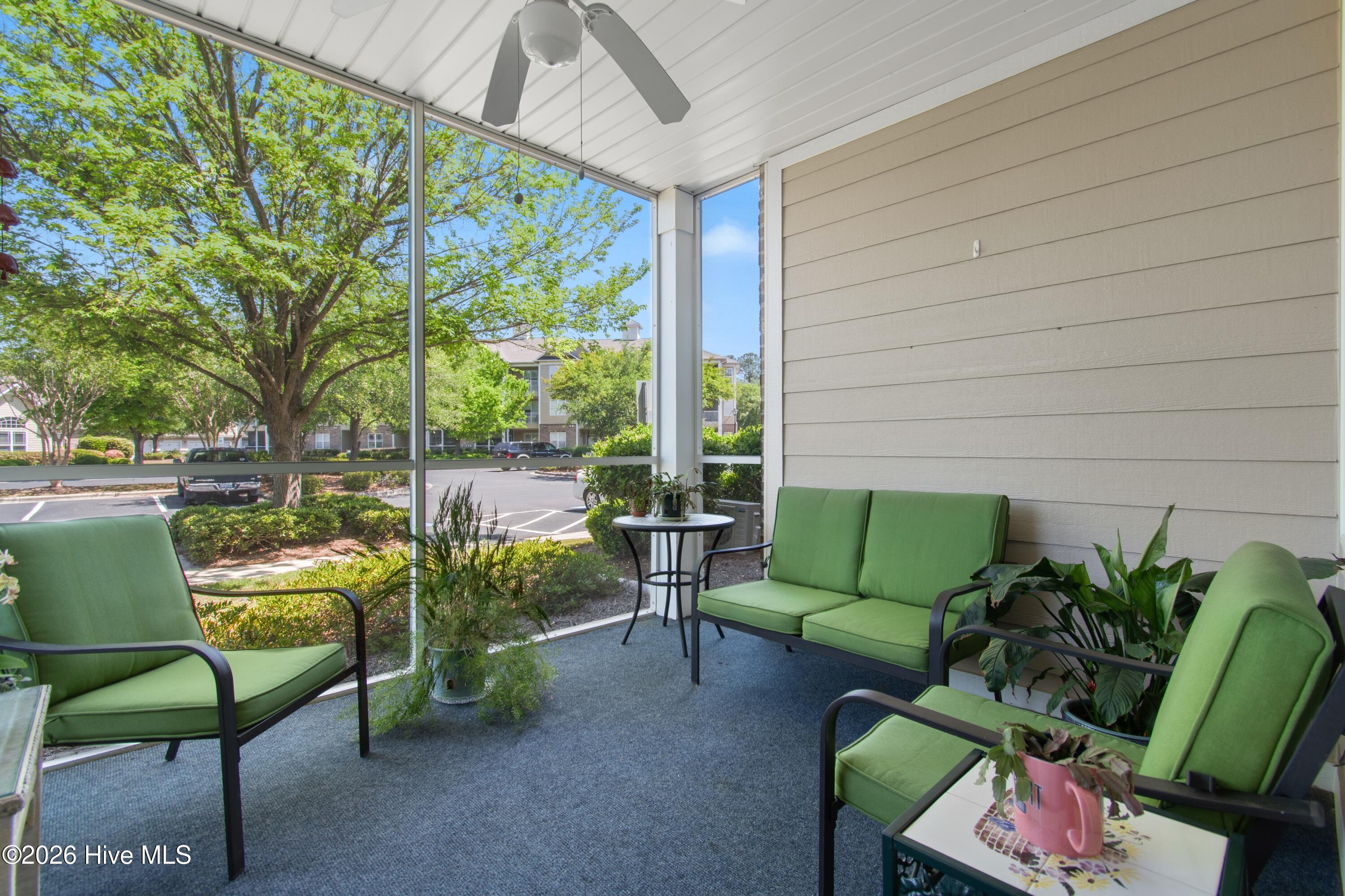 100569684 | Photo 17