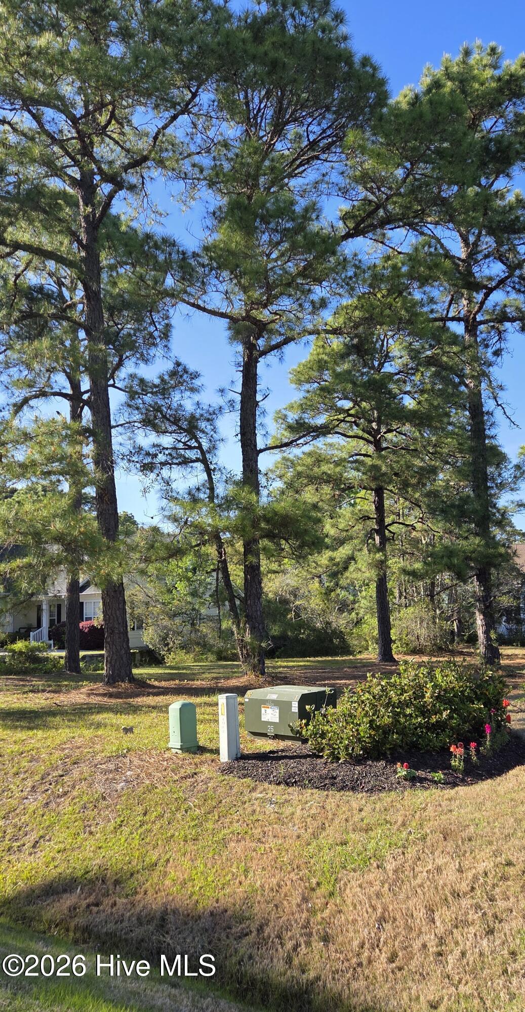 100566428 | Photo 14