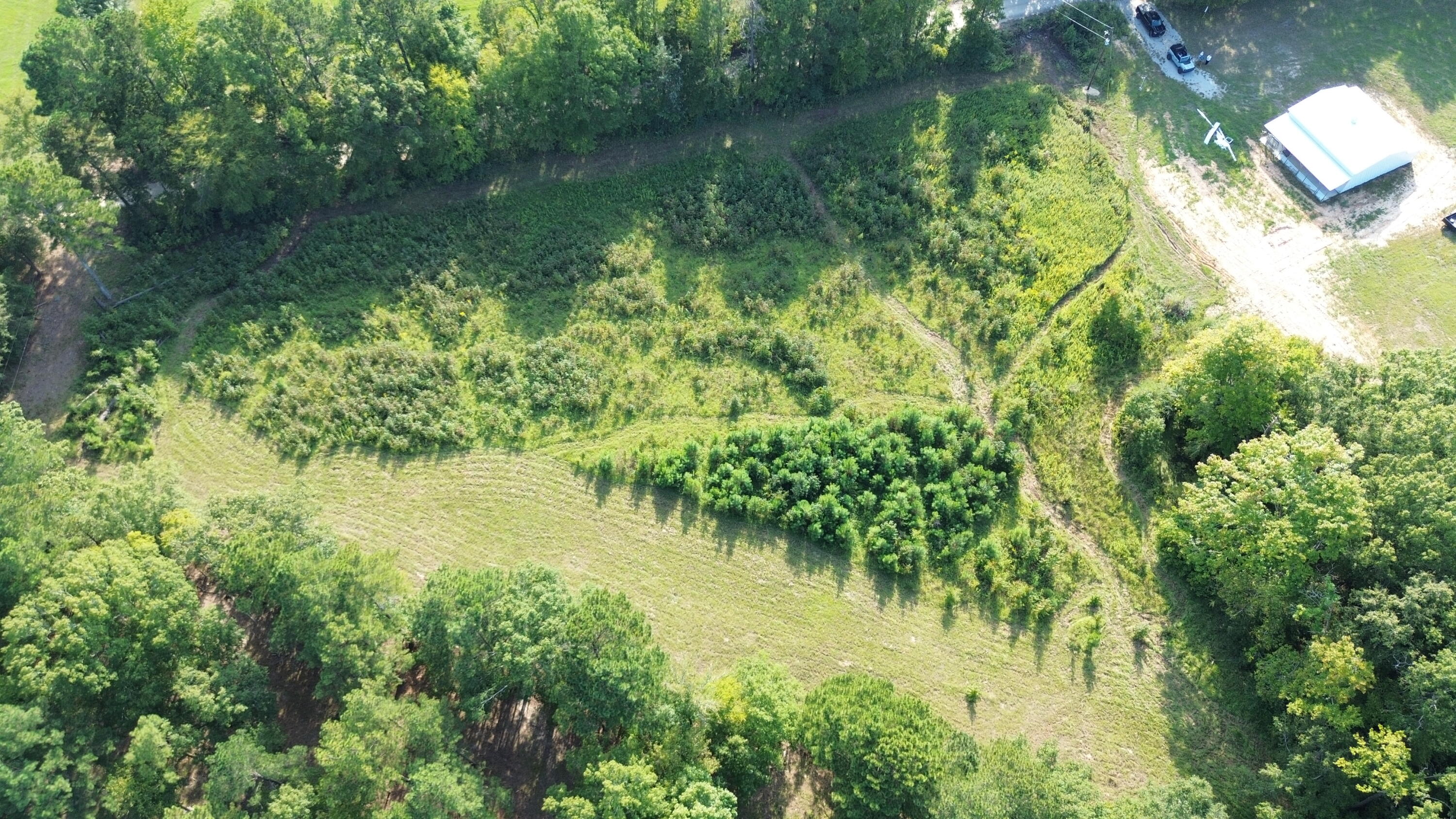 Back of lot towards Bonner