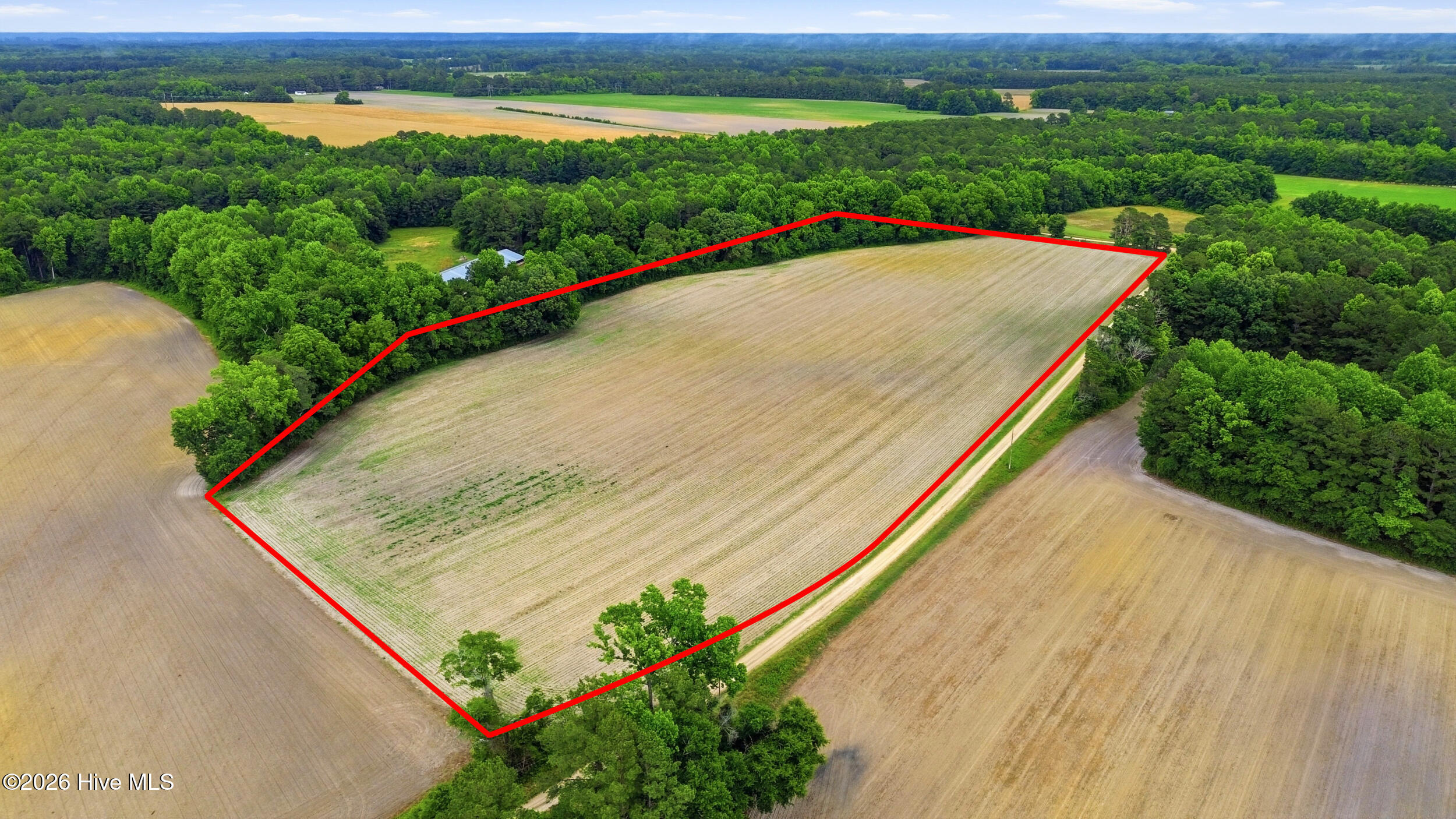 Homes for sale in Council, NC | Tbd Pig Palace Ln, Council, NC 28434 | MLS# 100578897