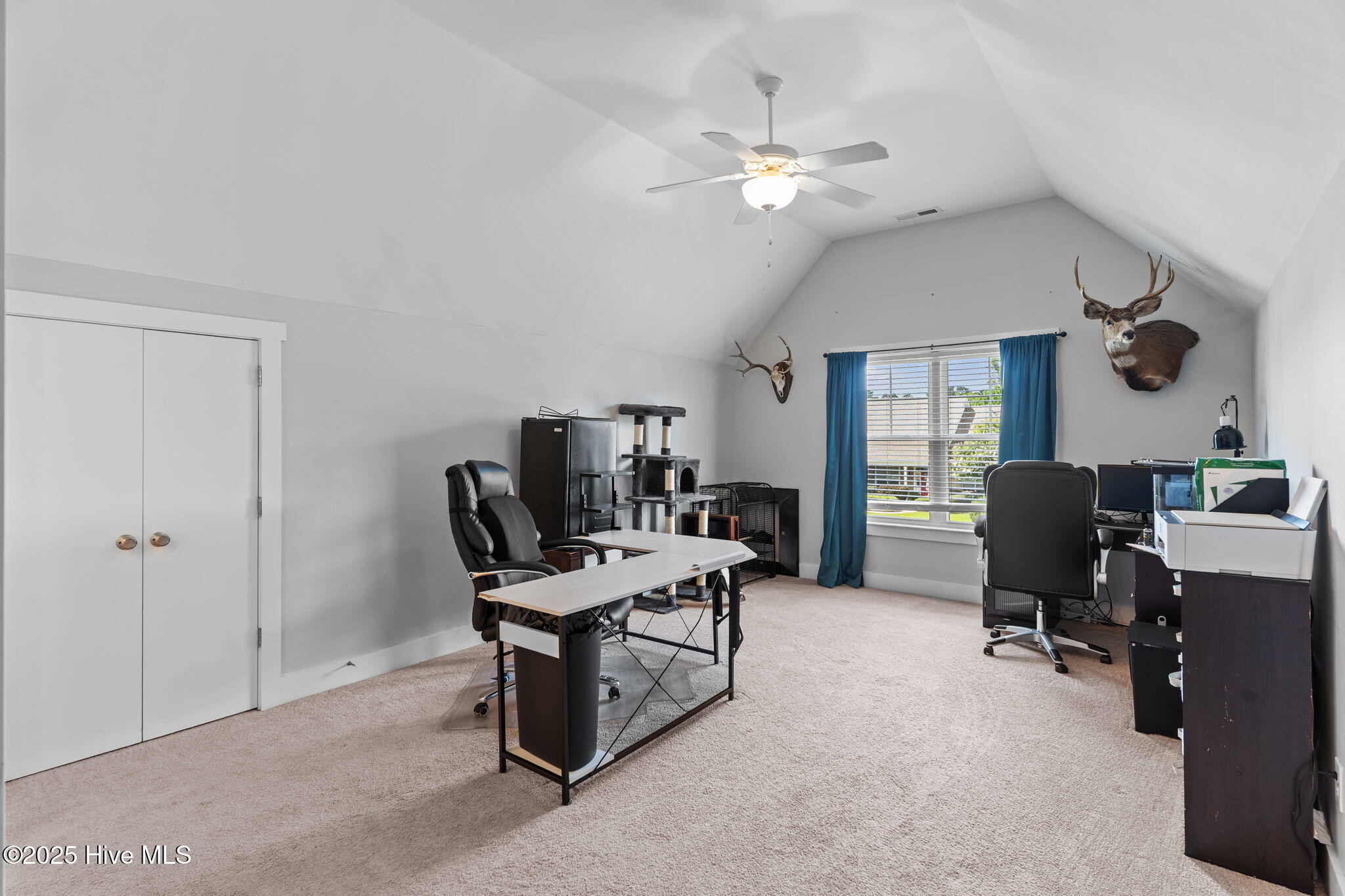 100519611 | Photo 48