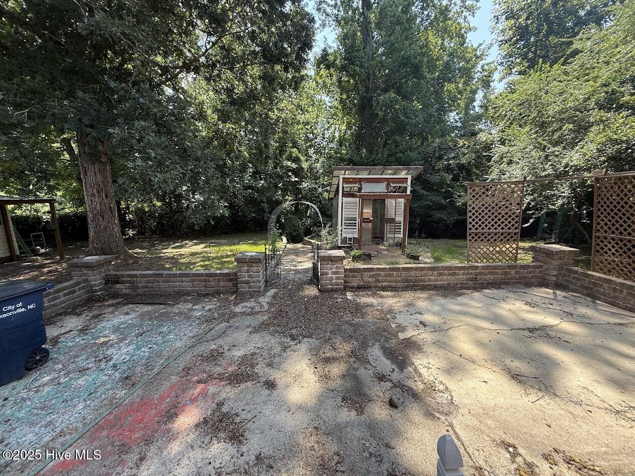 100525769 | Photo 13