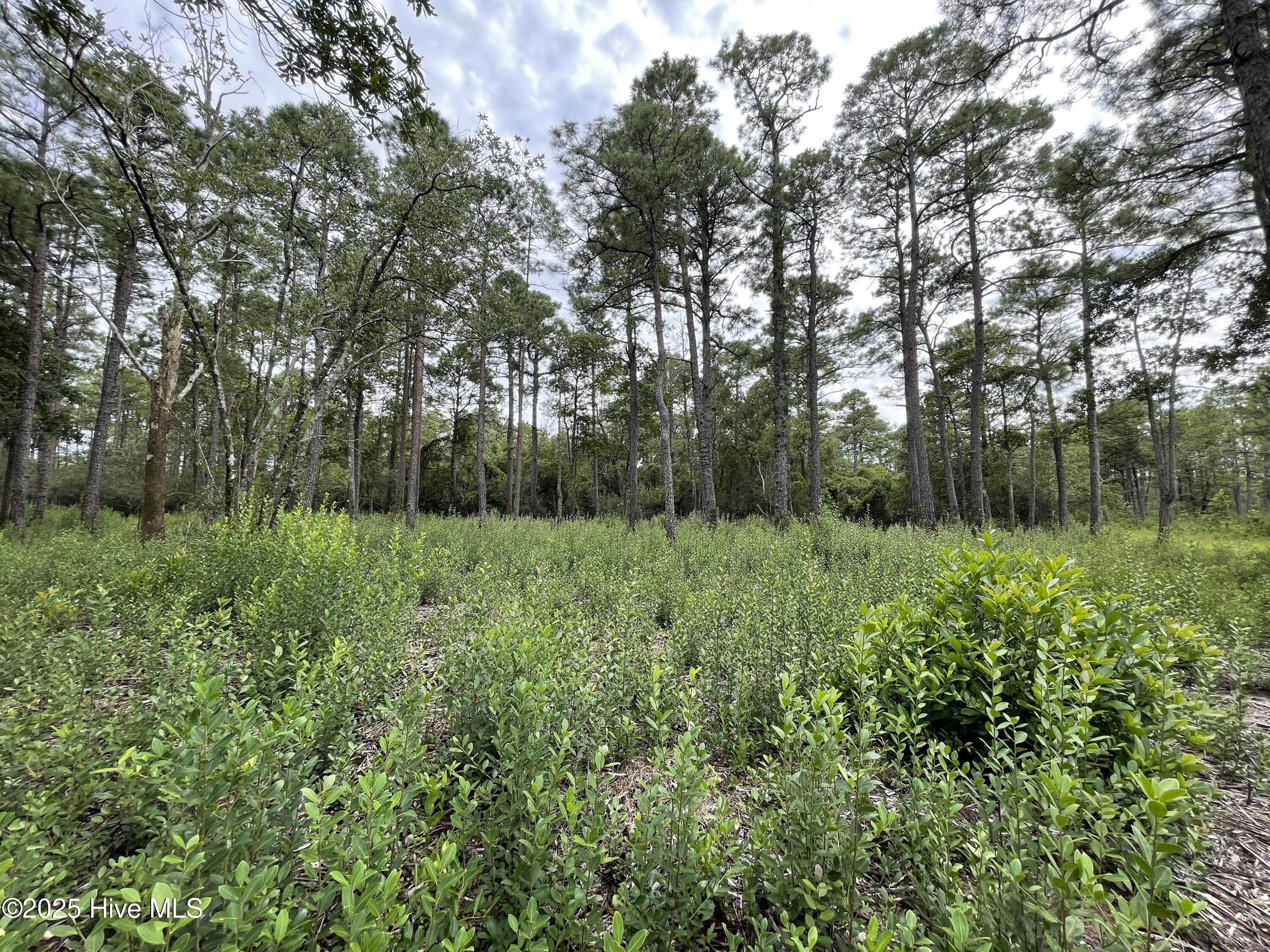 100527891 | Photo 10