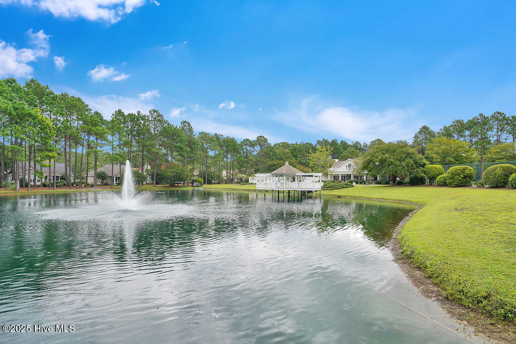 100541606 | Photo 59