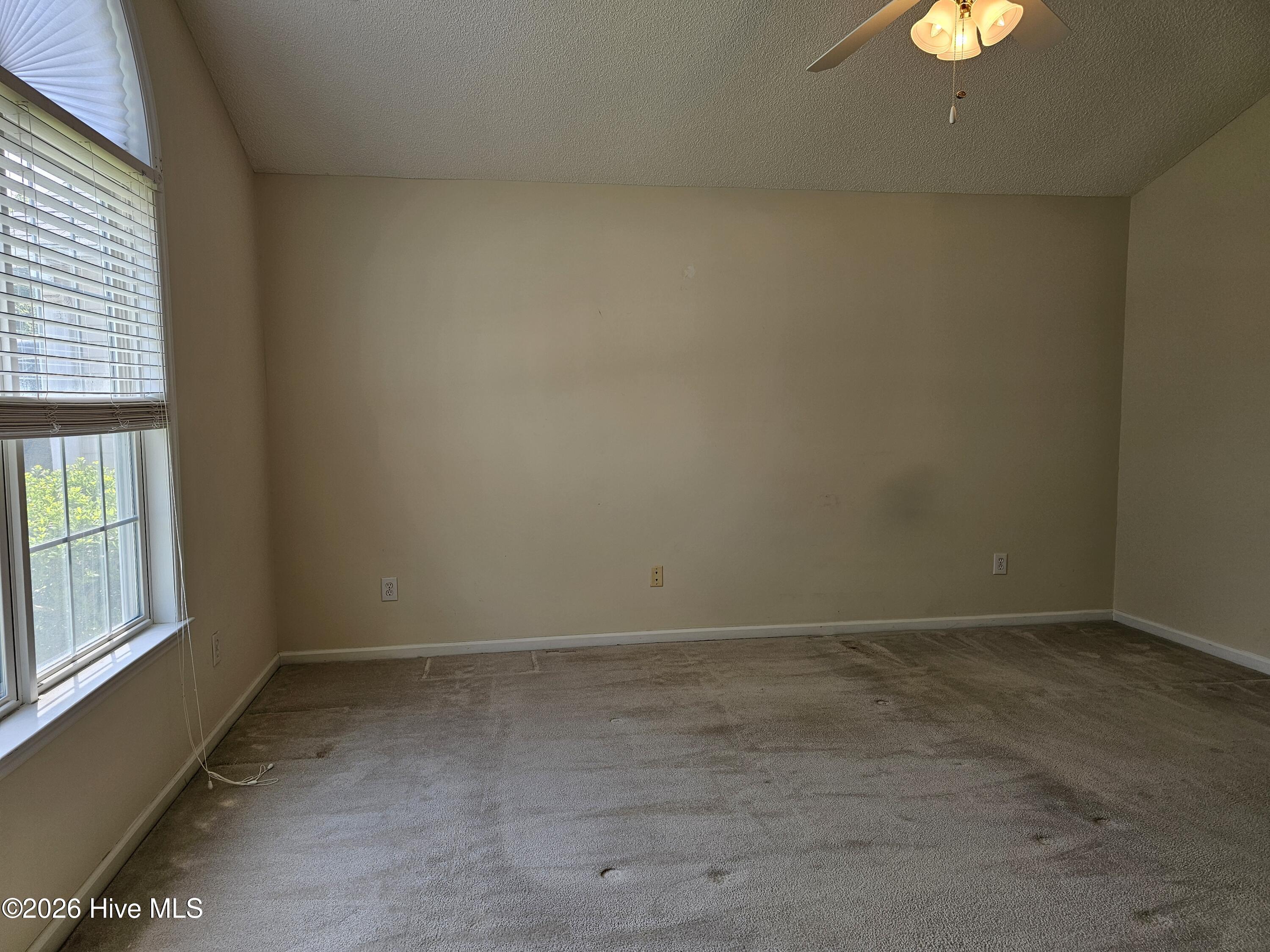 100566879 | Photo 18