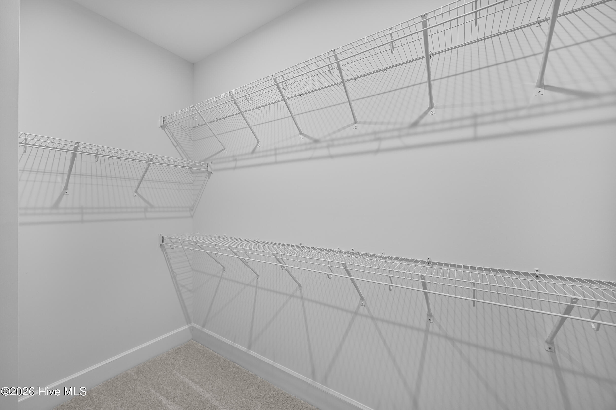 100560726 | Photo 30