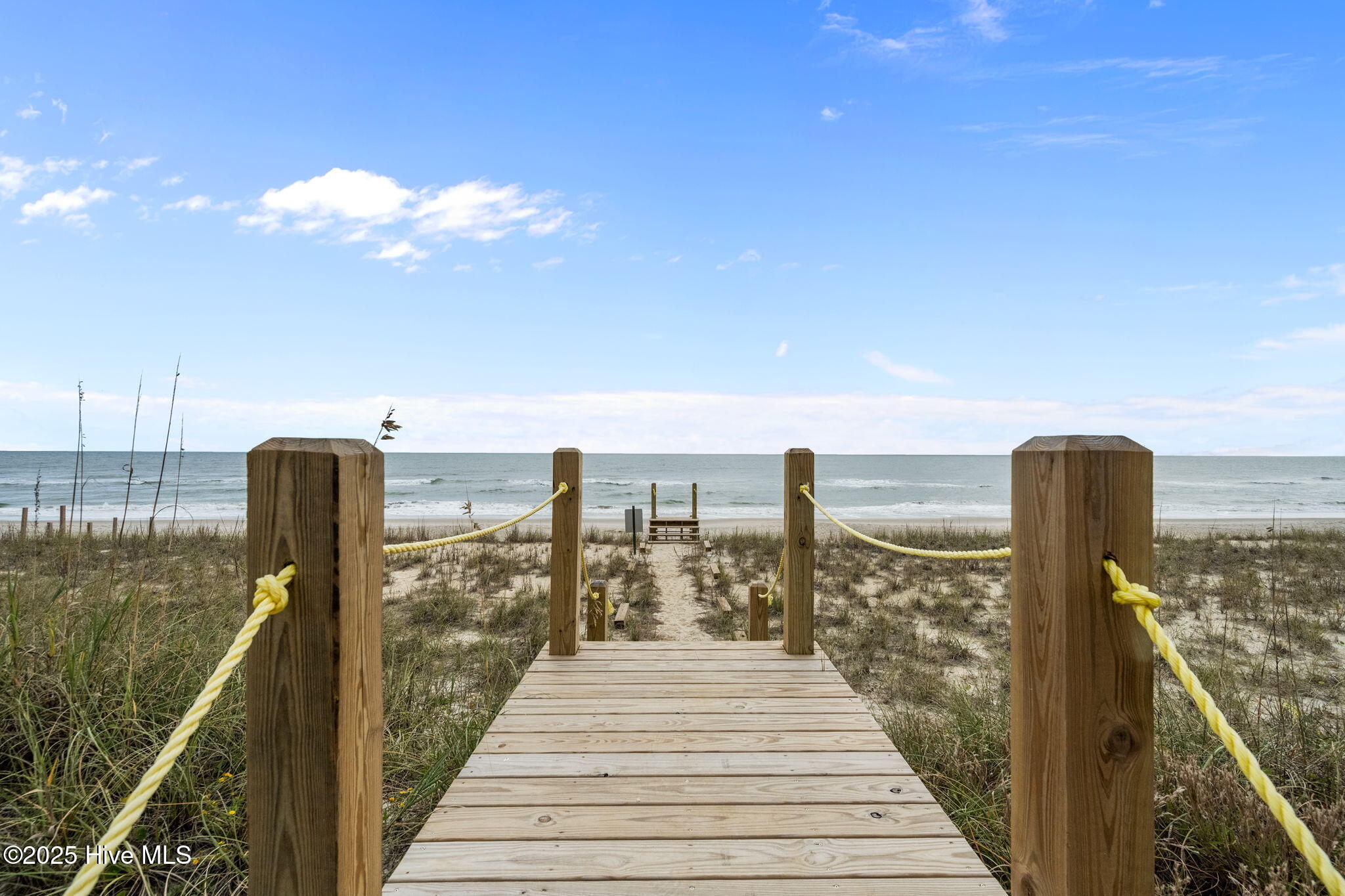 100539453 | Photo 67