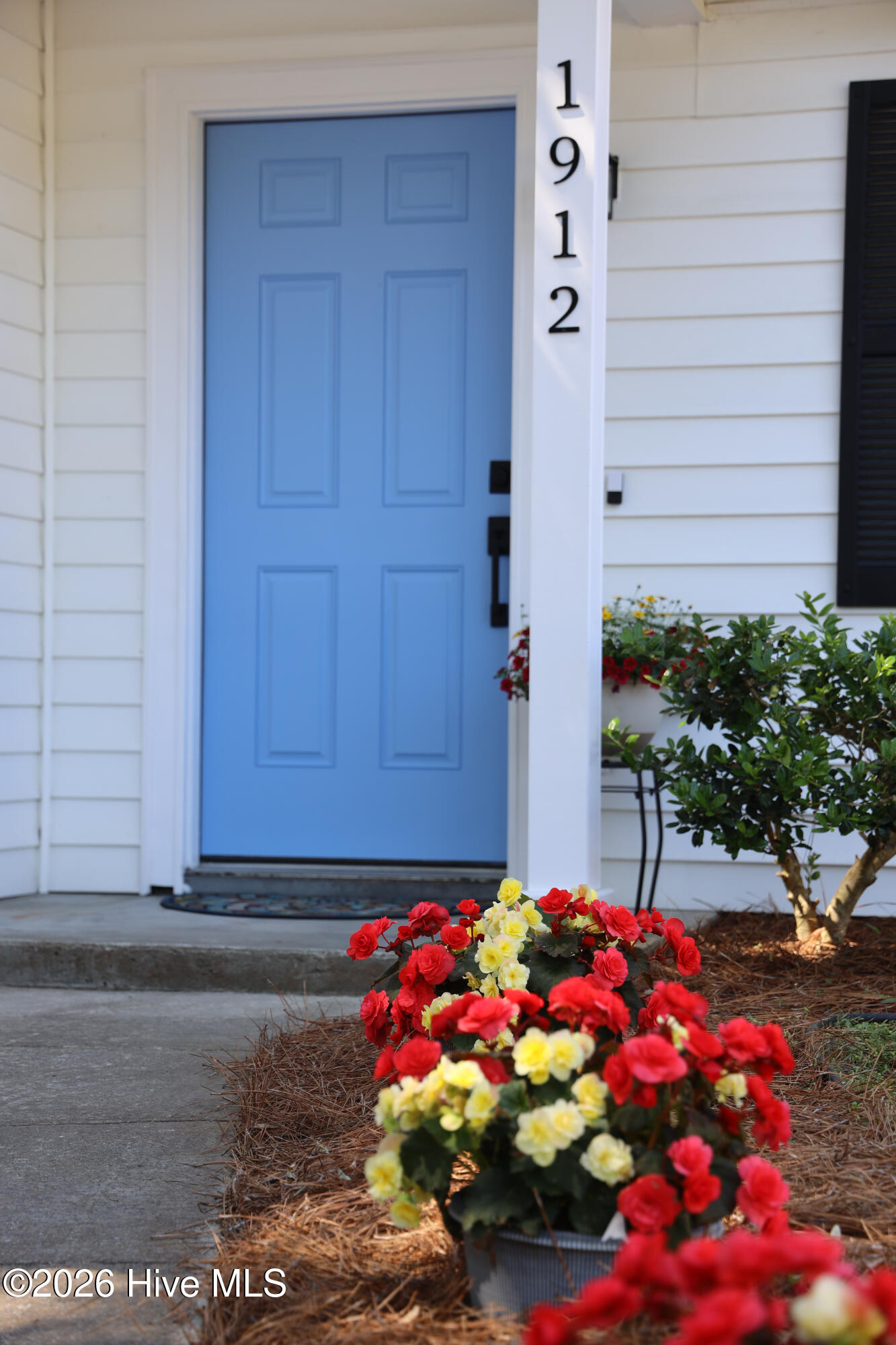 100568255 | Photo 76