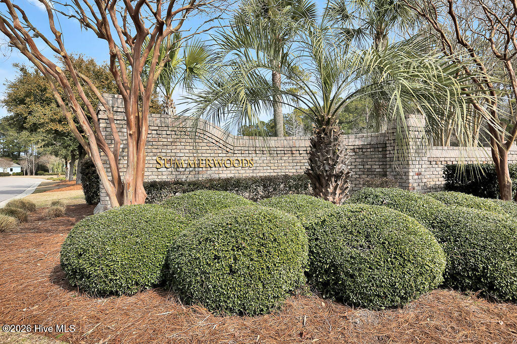 100554115 | Photo 33