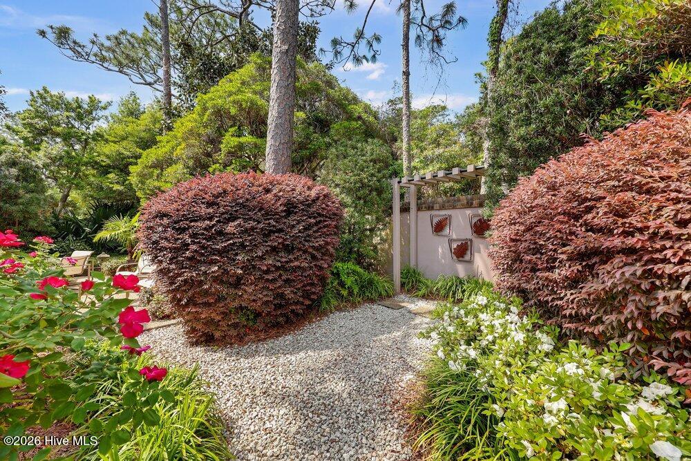 3703 Reston Court B, Wilmington, NC 28403 – photo 17: Rear Garden