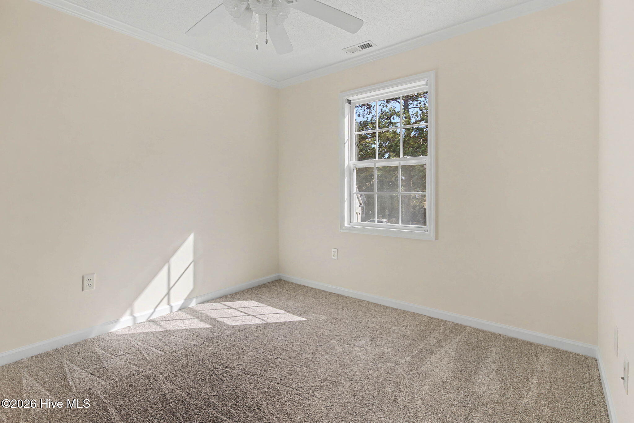 100547779 | Photo 24