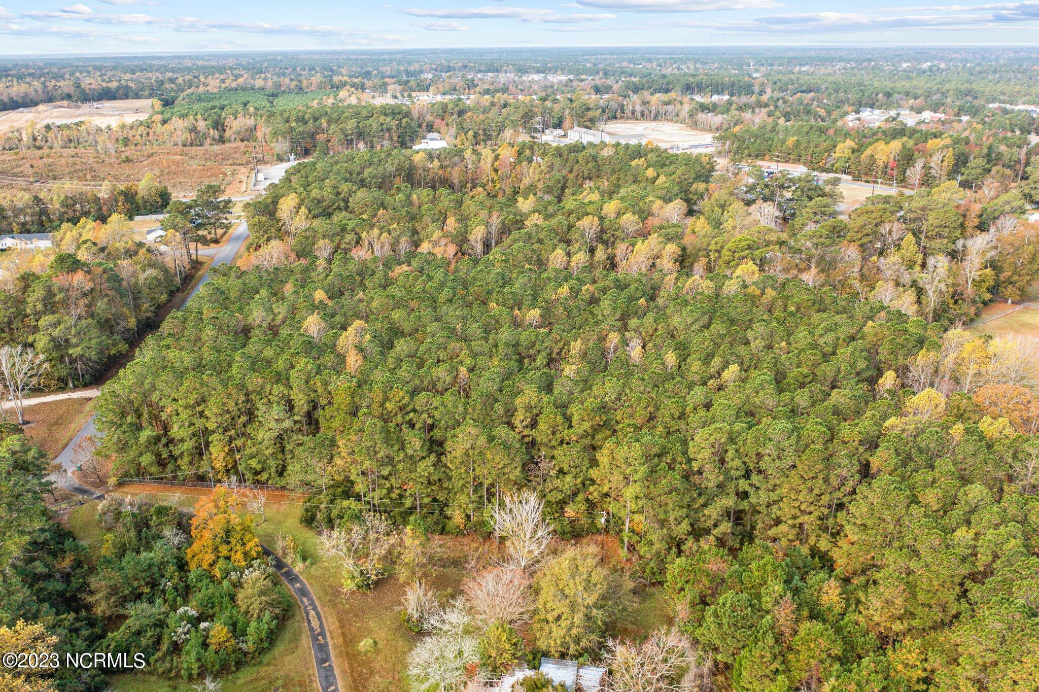 100415479 | Photo 17