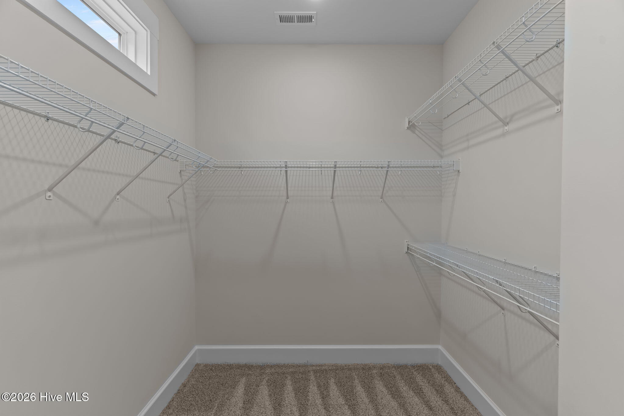 100553165 | Photo 30