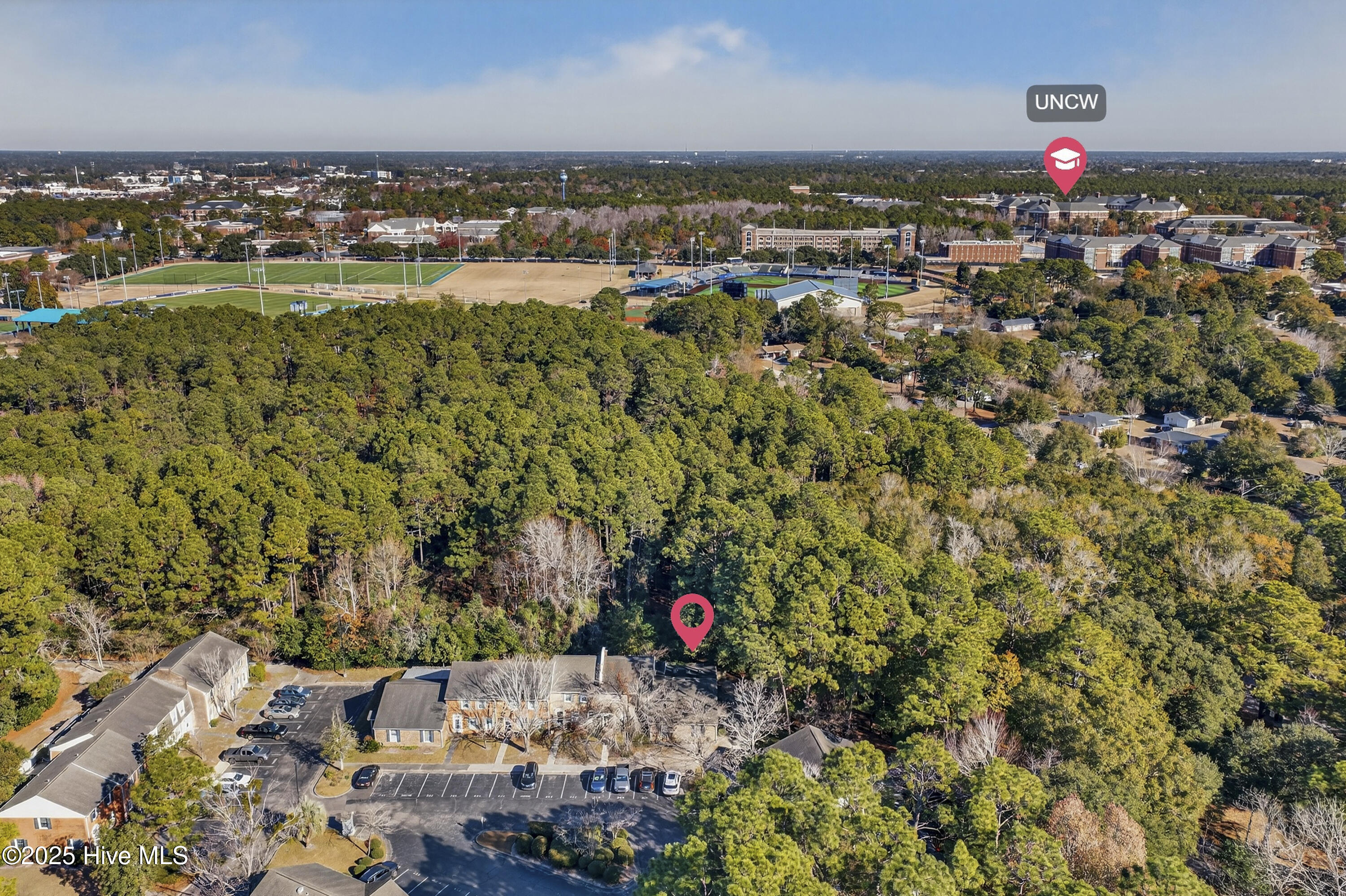 100546761 | Photo 24