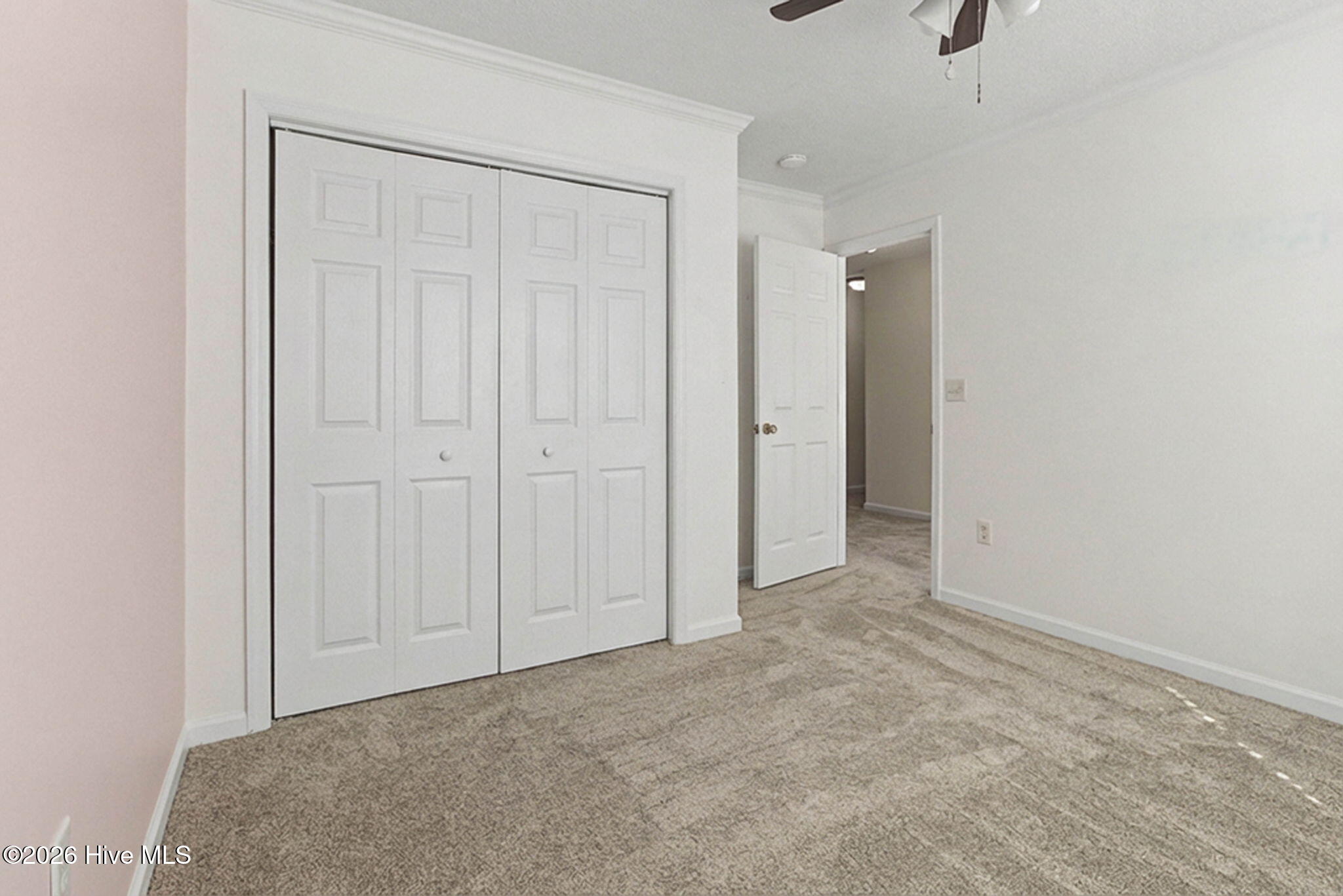 100547779 | Photo 23