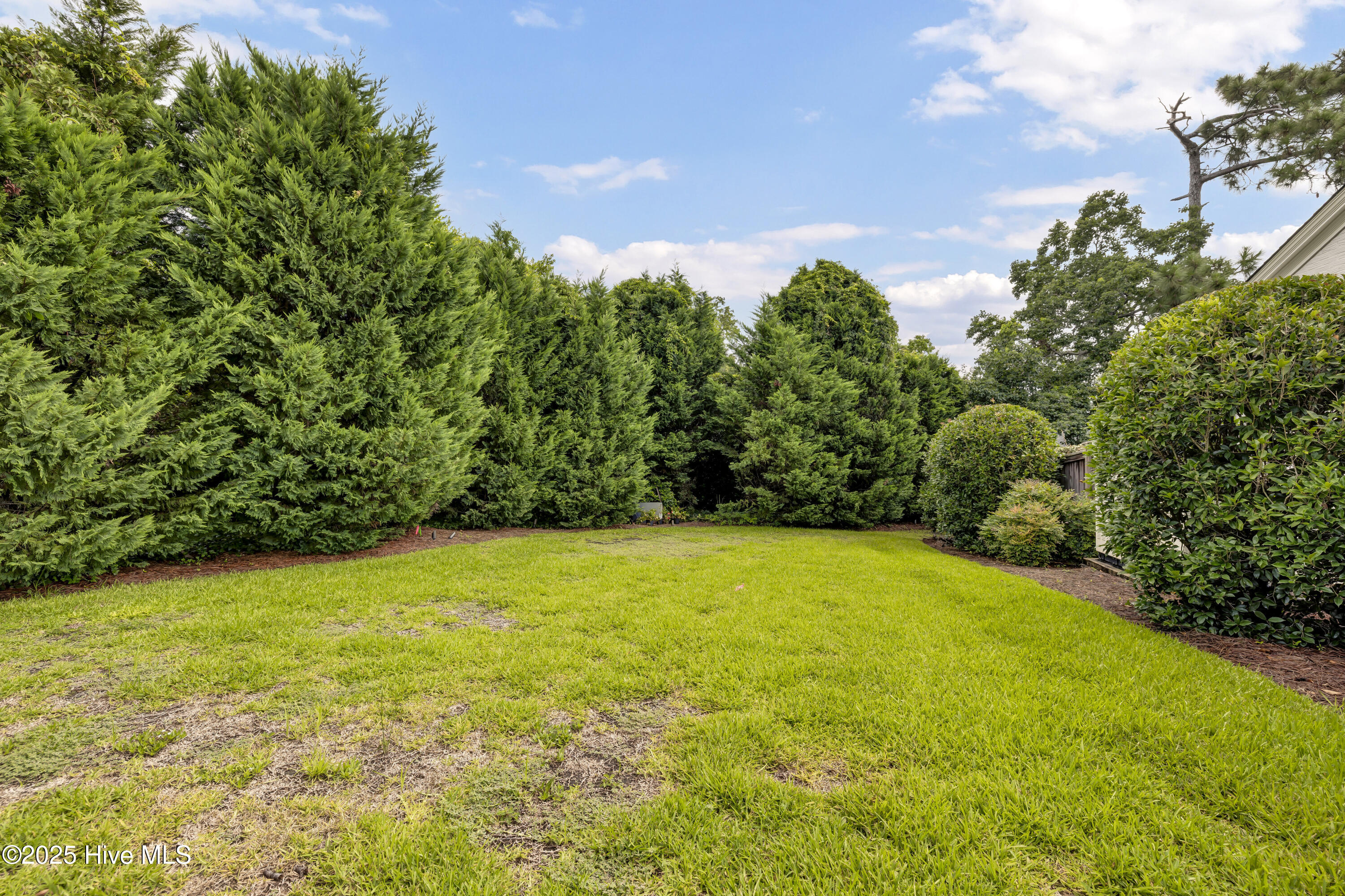 100519719 | Photo 51