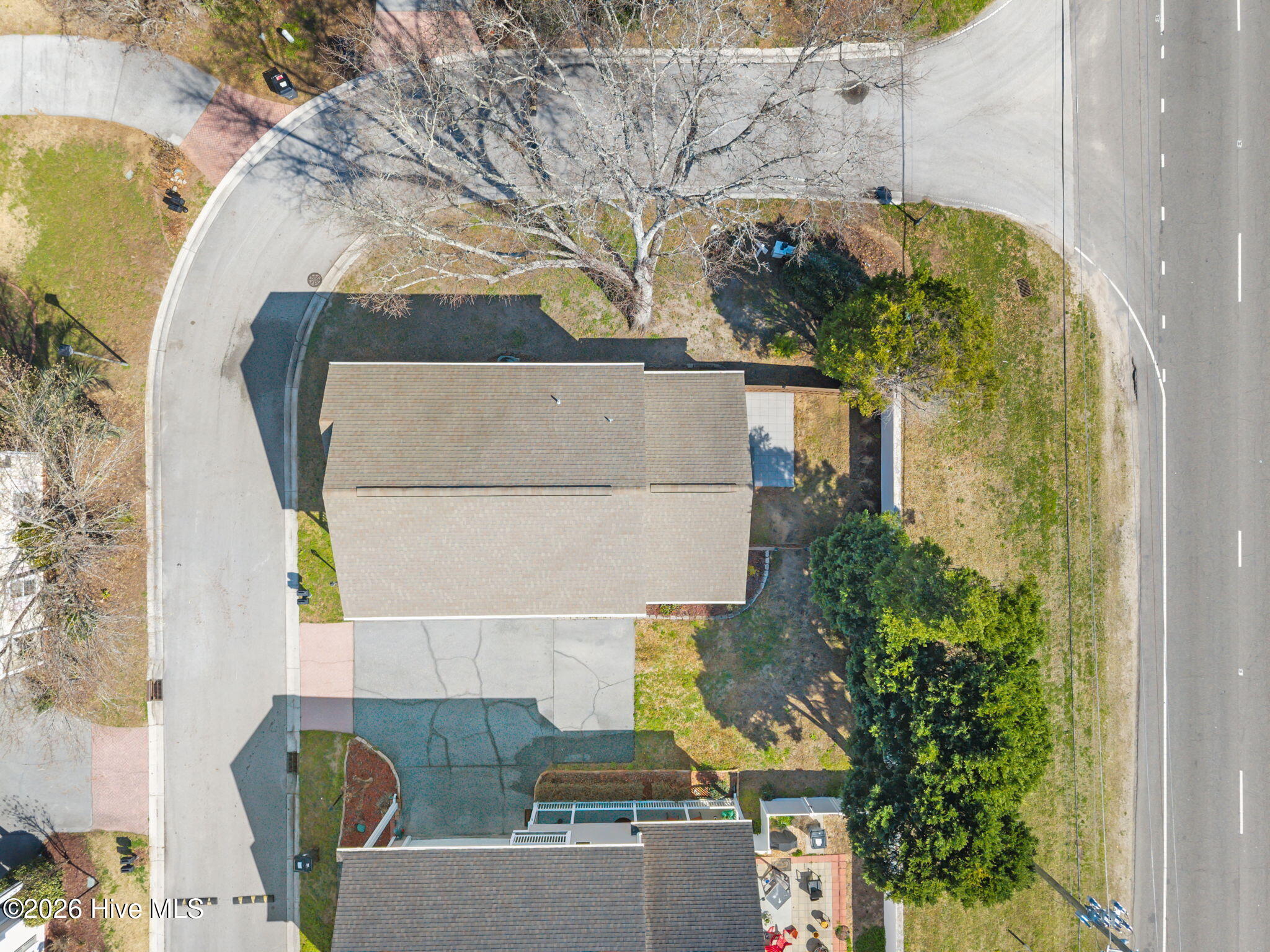 100559197 | Photo 10