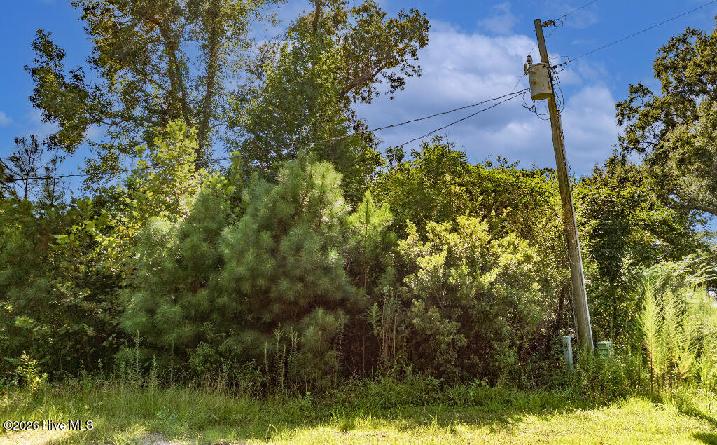 100558021 | Photo 12