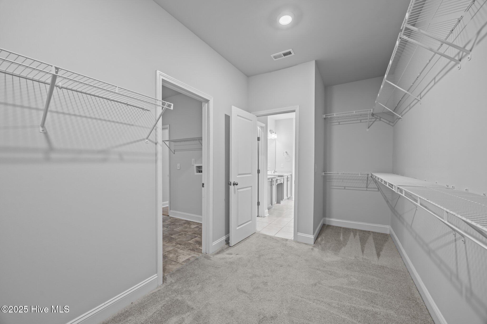 100503242 | Photo 32