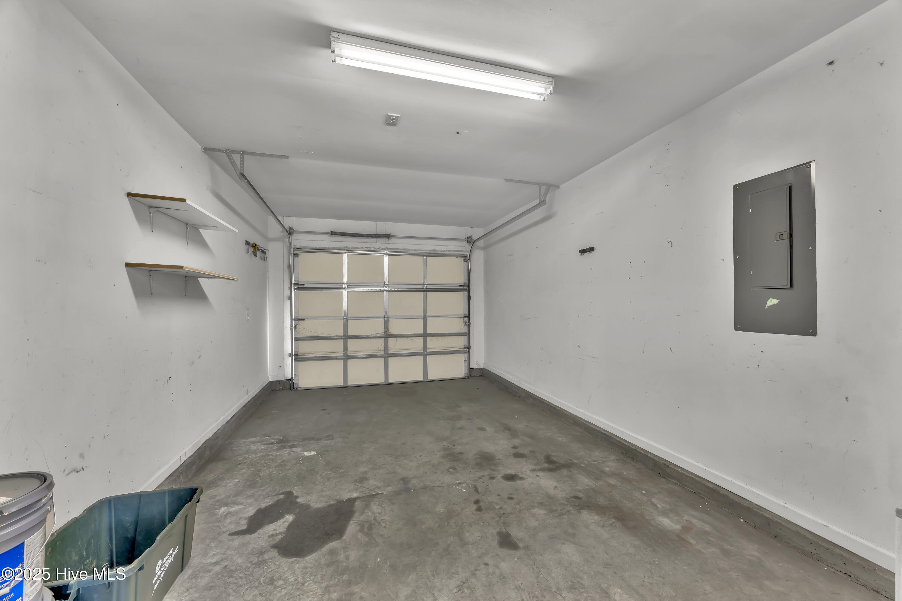 100535100 | Photo 19