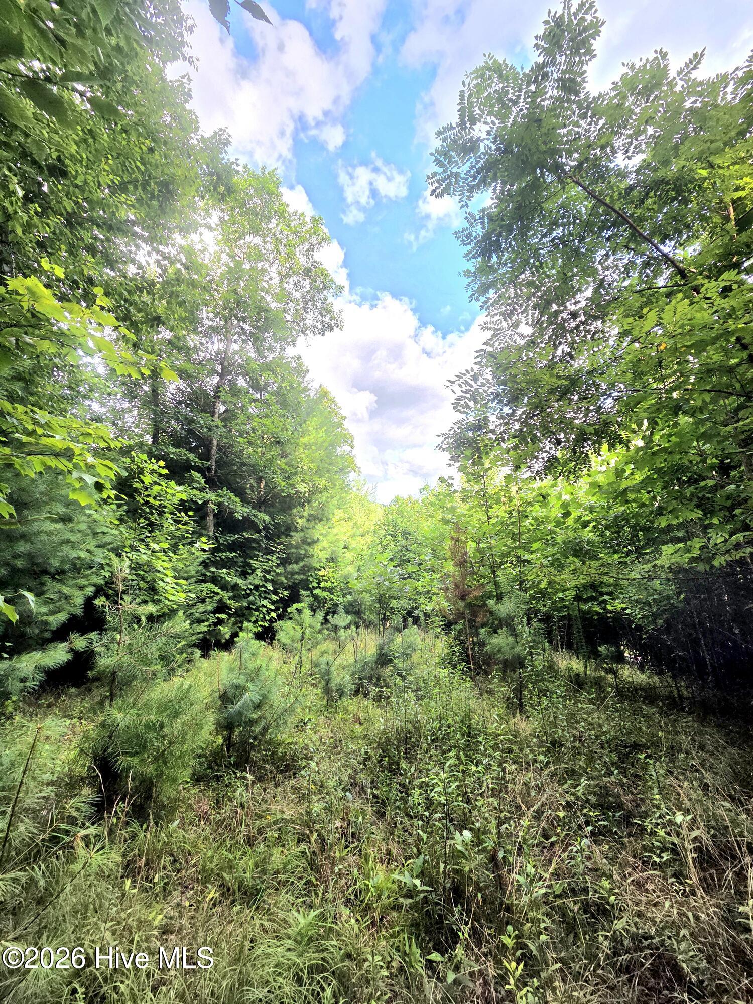 1st image of 50 Camp Branch Rd, Topton, NC 28781 | MLS# 100590283