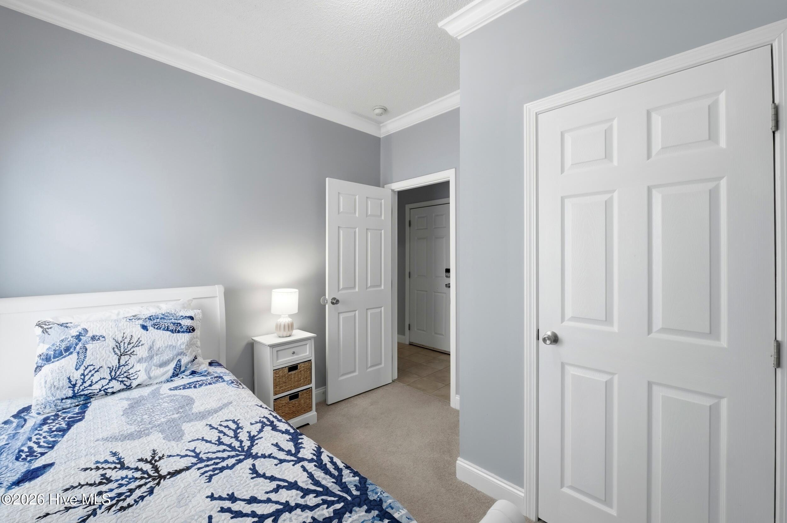 100557500 | Photo 28