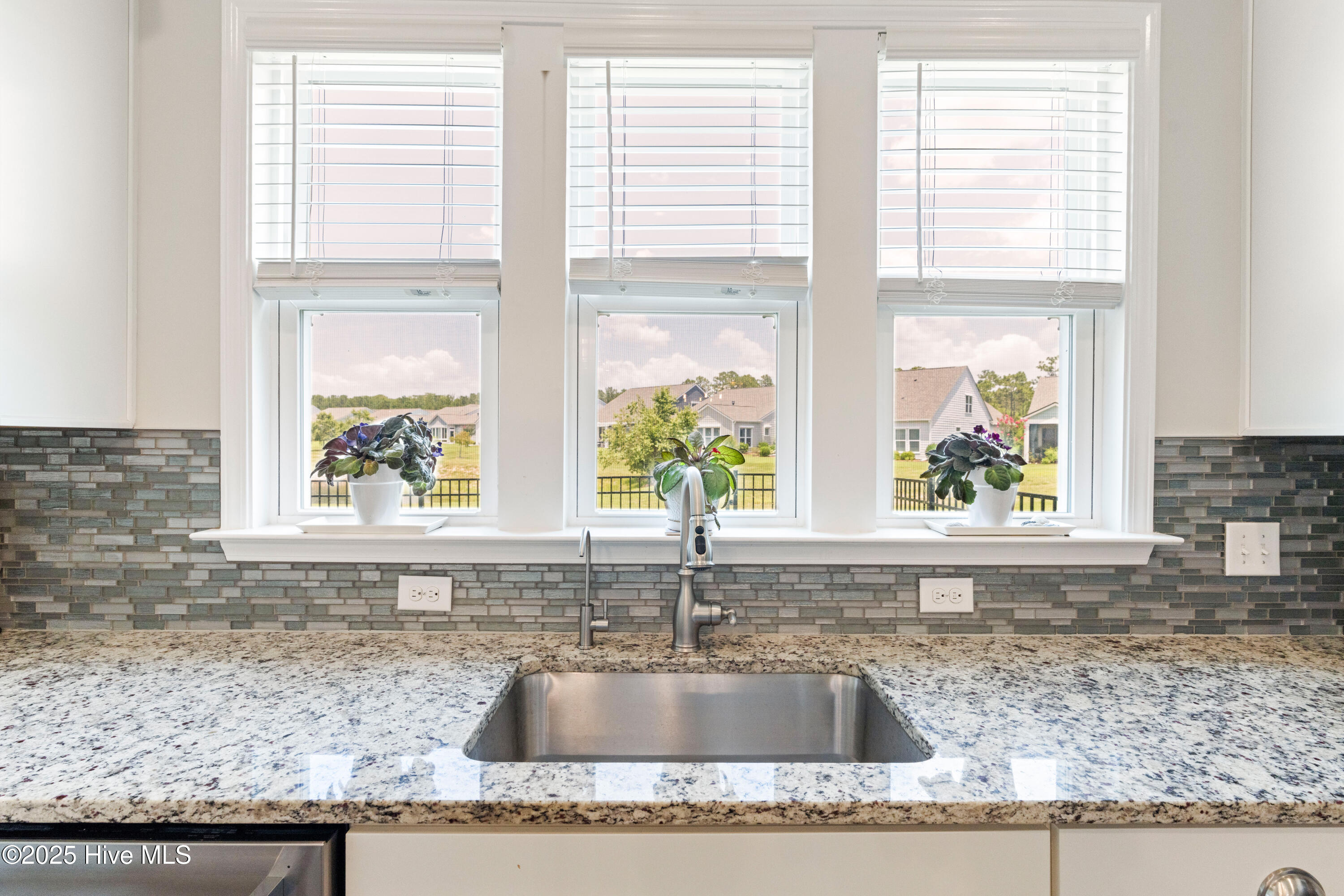 100515849 | Photo 12