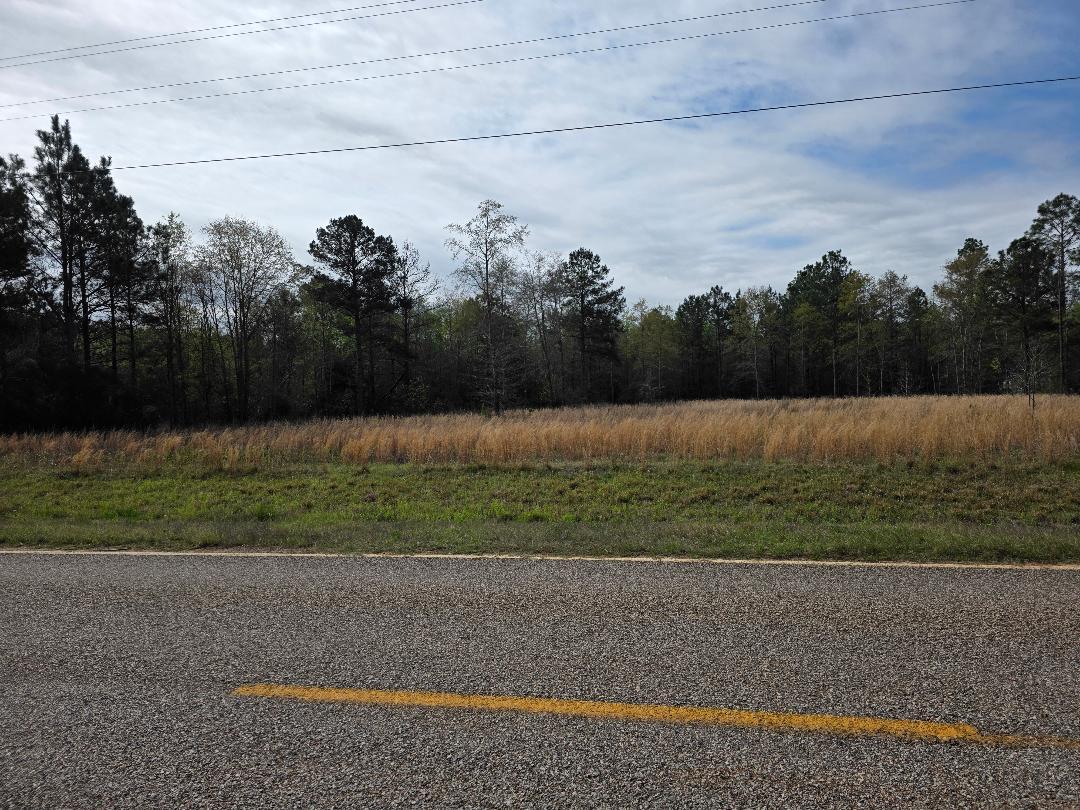 Listing Photo 98254718