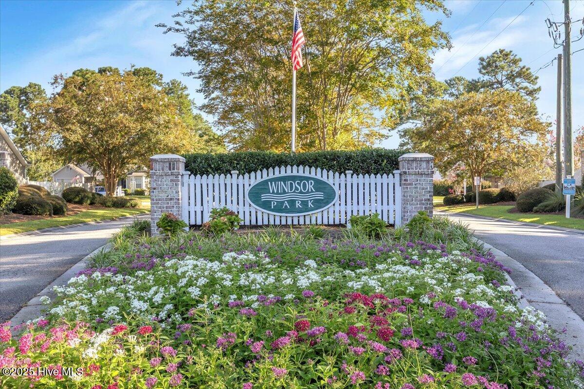 100527924 | Photo 37