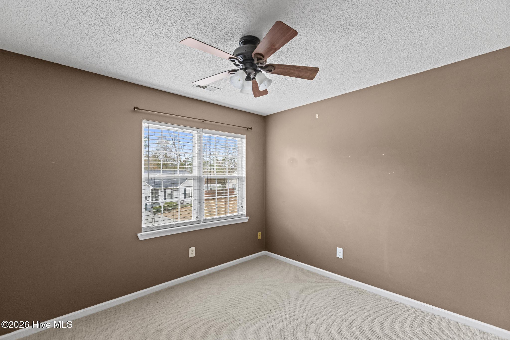 100556616 | Photo 24