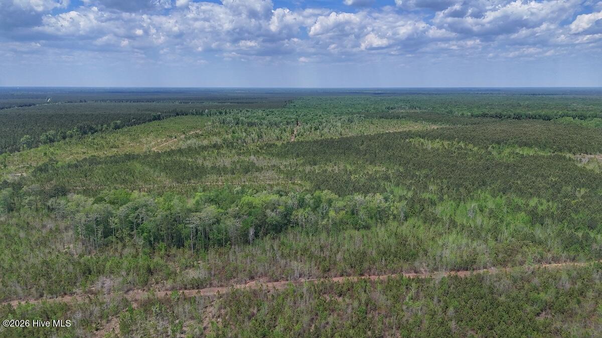 0 Guinea Mill Road, Ernul, NC, 28527