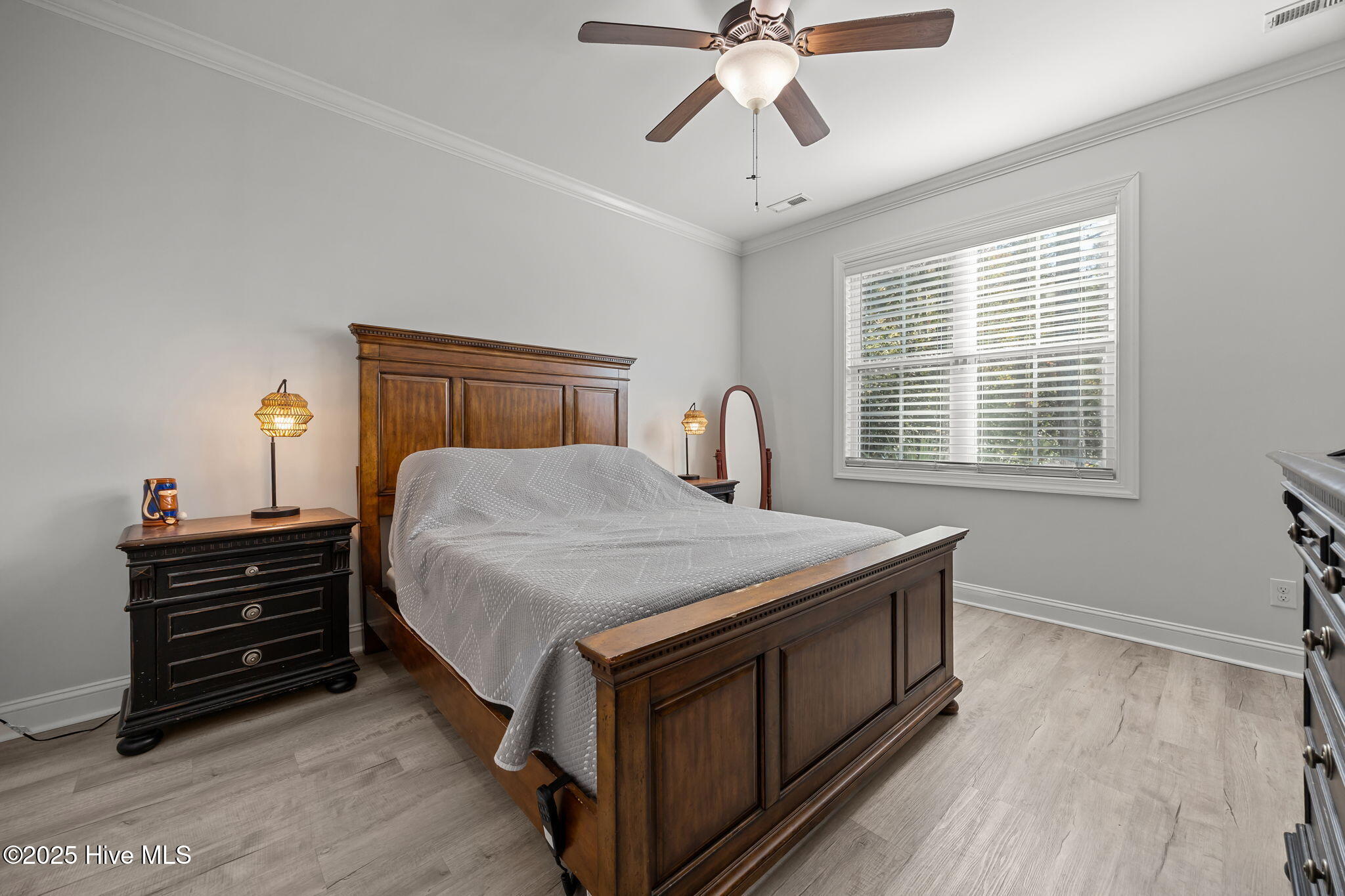 100541215 | Photo 15