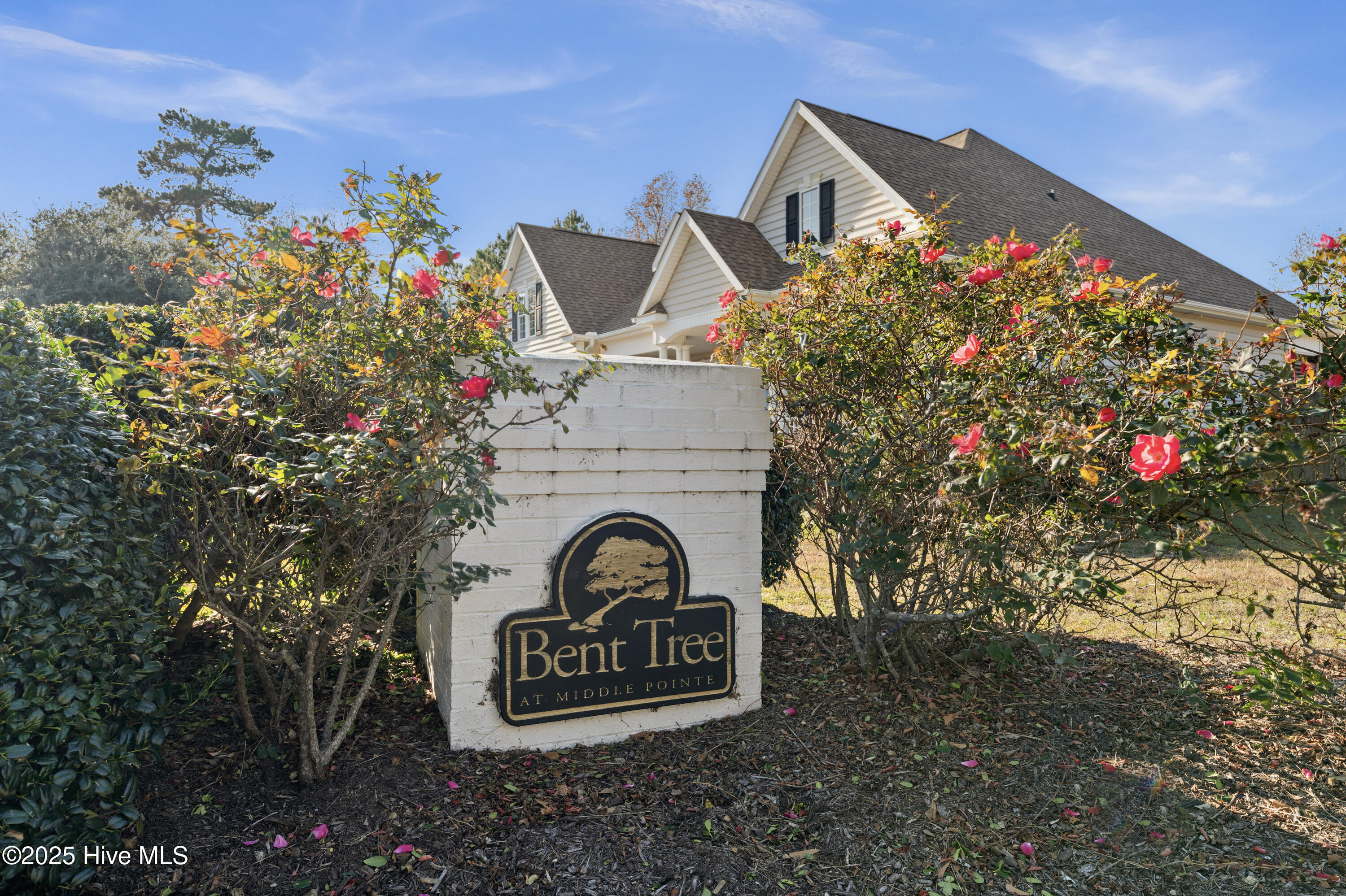 100538387 | Photo 38