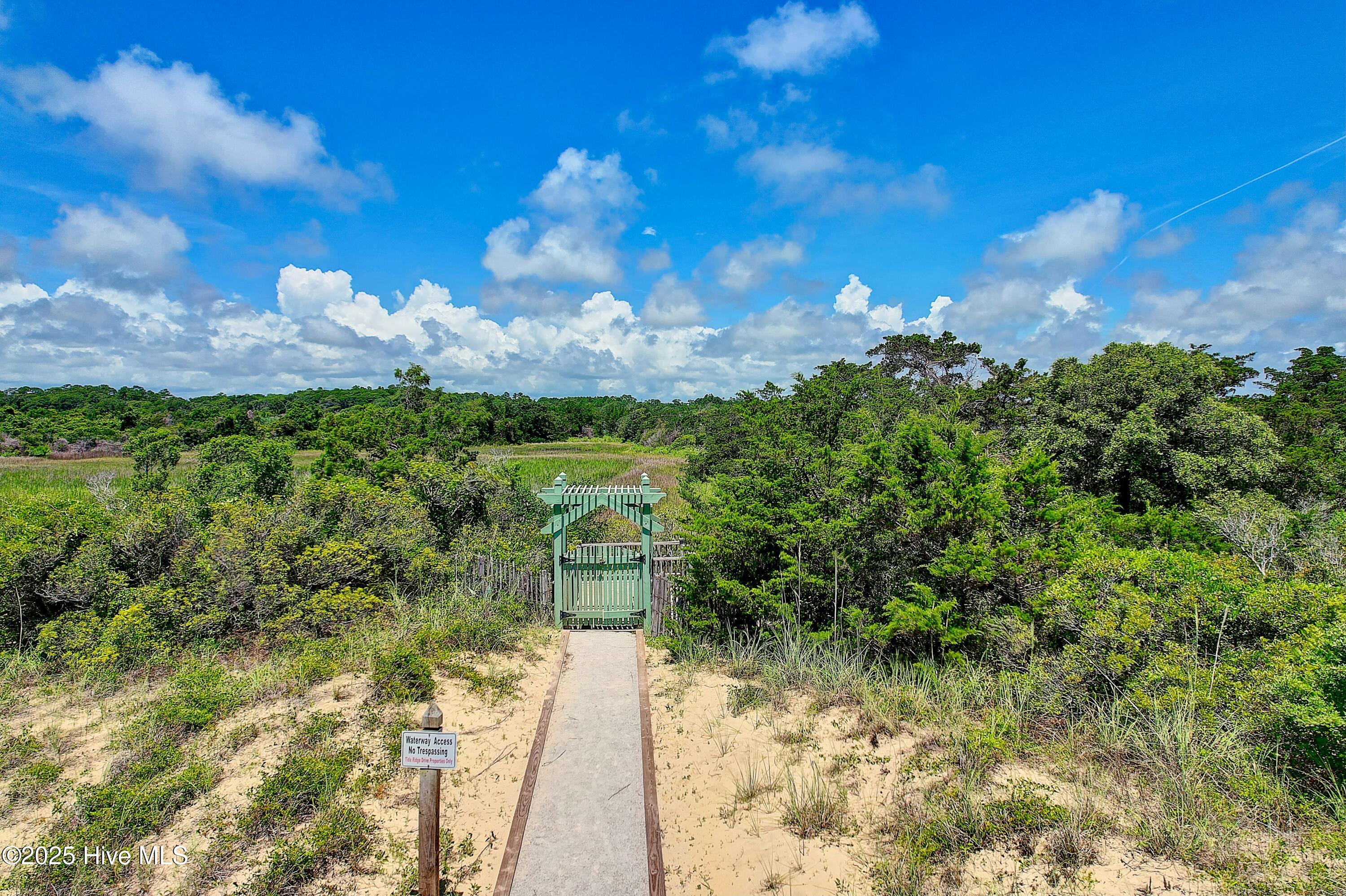 100541969 | Photo 99