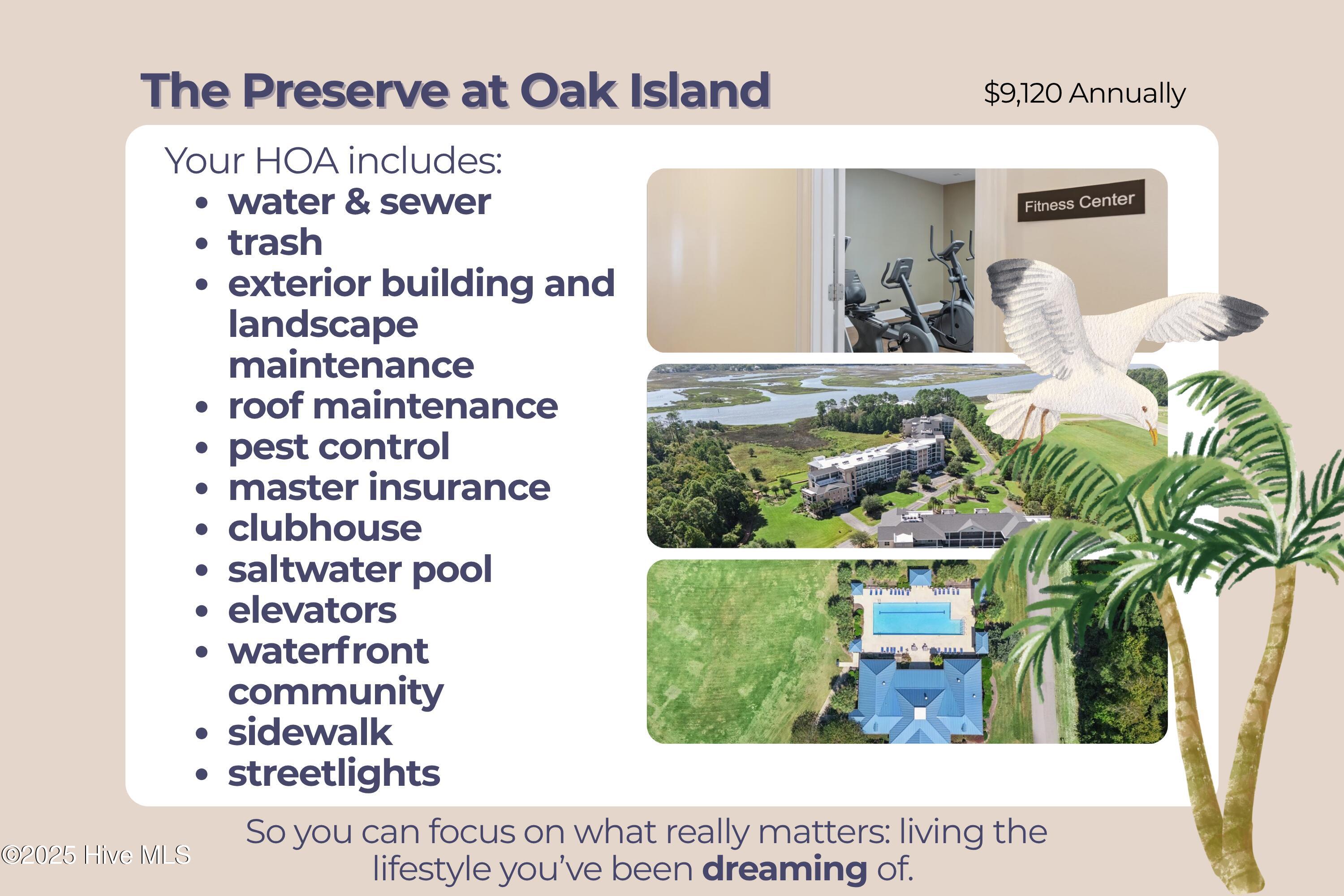 100535448 | Photo 10