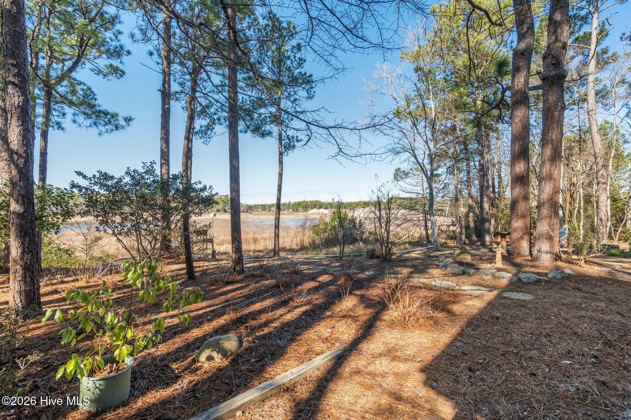 100552539 | Photo 85