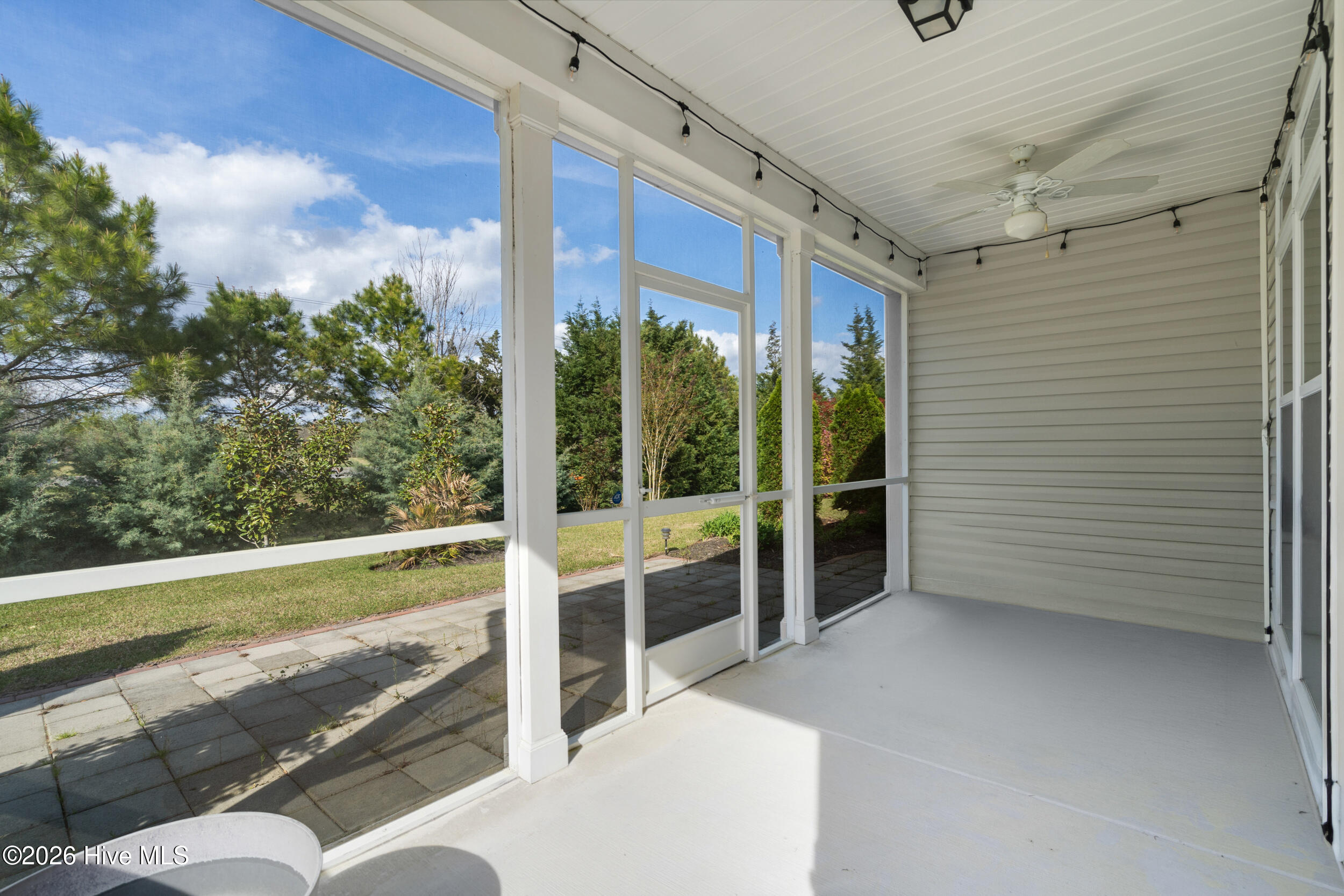 100563305 | Photo 32